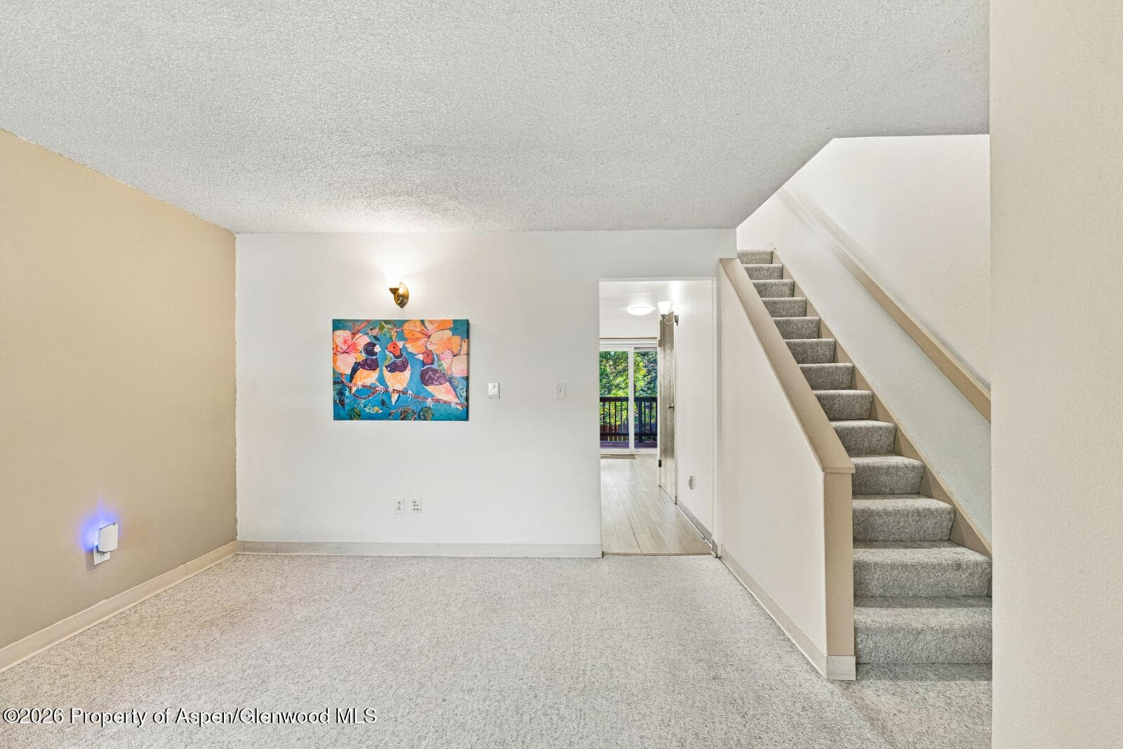 630 Davis Drive 2, Glenwood Springs, CO 81601 - Photo 5