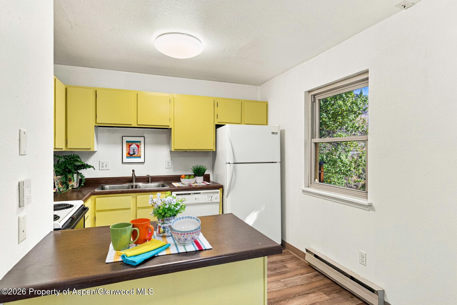 630 Davis Drive 2, Glenwood Springs, CO 81601 - Photo 11