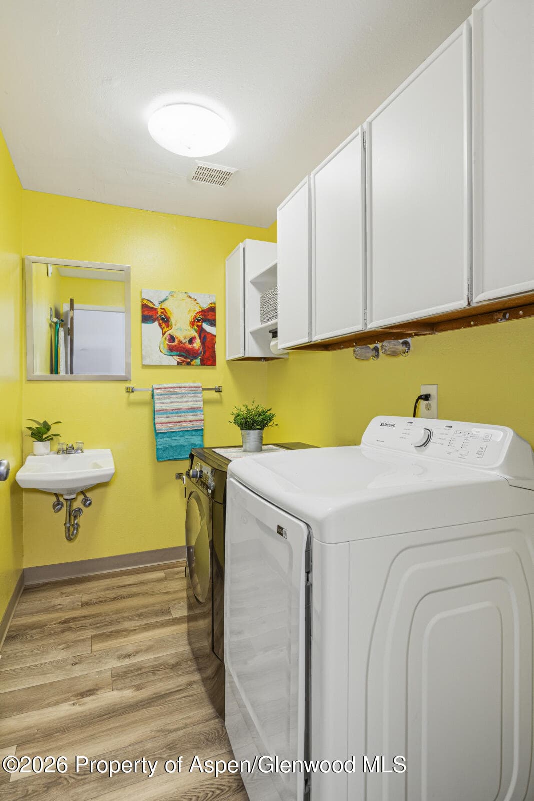 630 Davis Drive 2, Glenwood Springs, CO 81601 - Photo 19