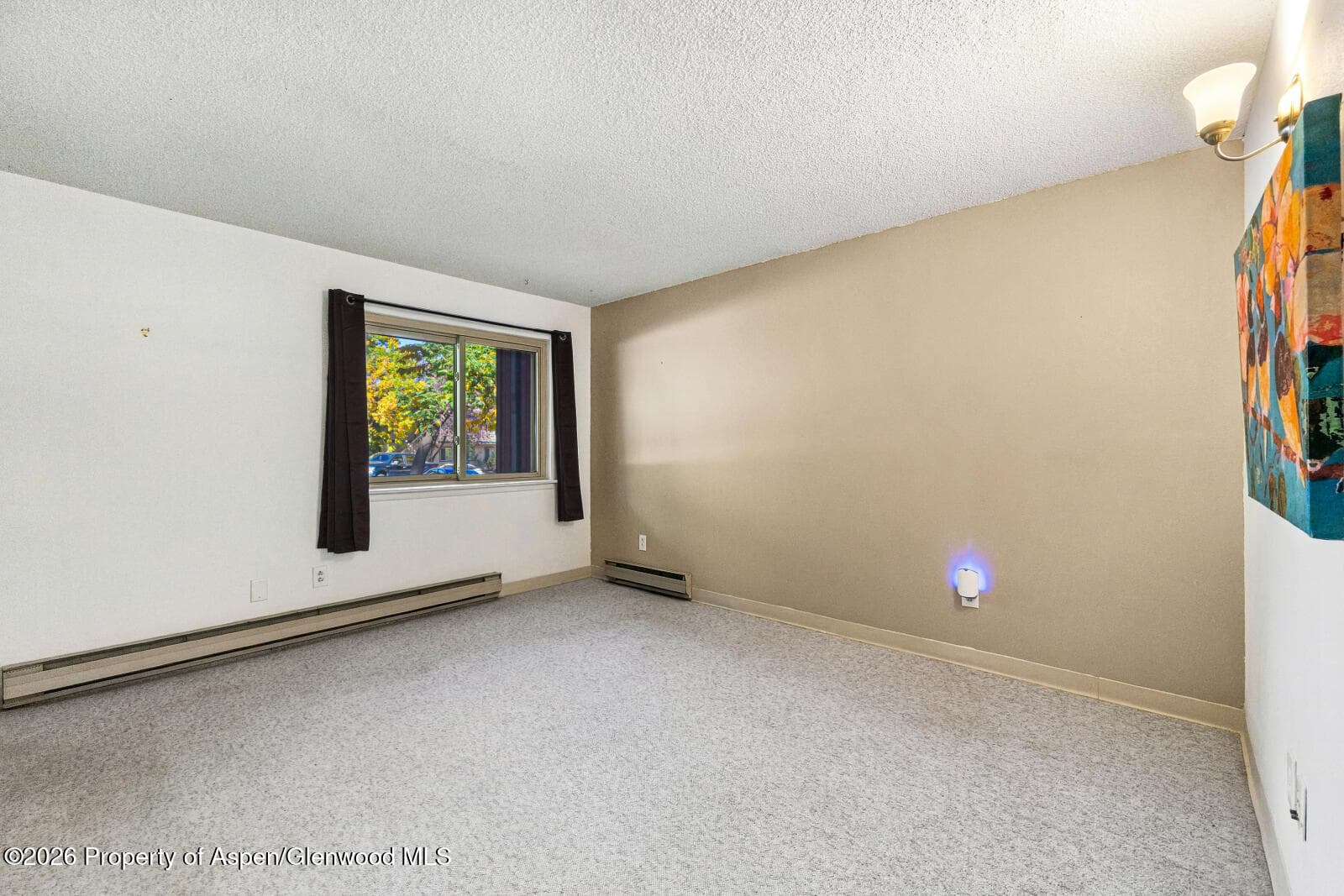 630 Davis Drive 2, Glenwood Springs, CO 81601 - Photo 8