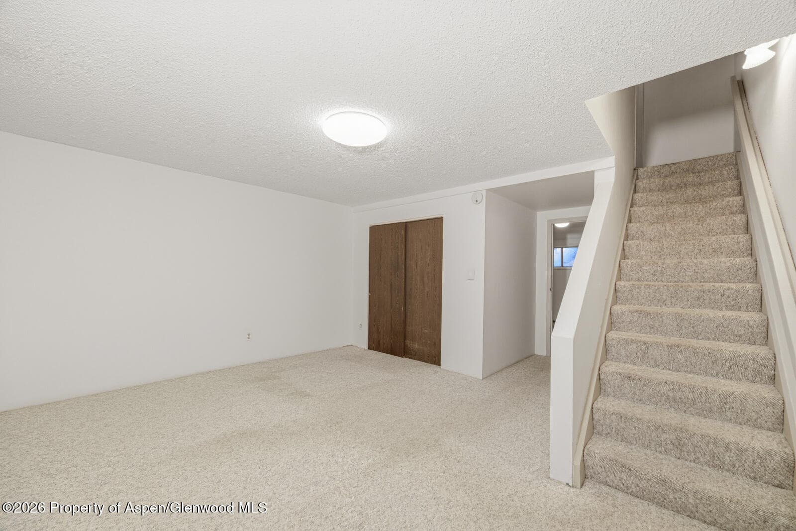 630 Davis Drive 2, Glenwood Springs, CO 81601 - Photo 7