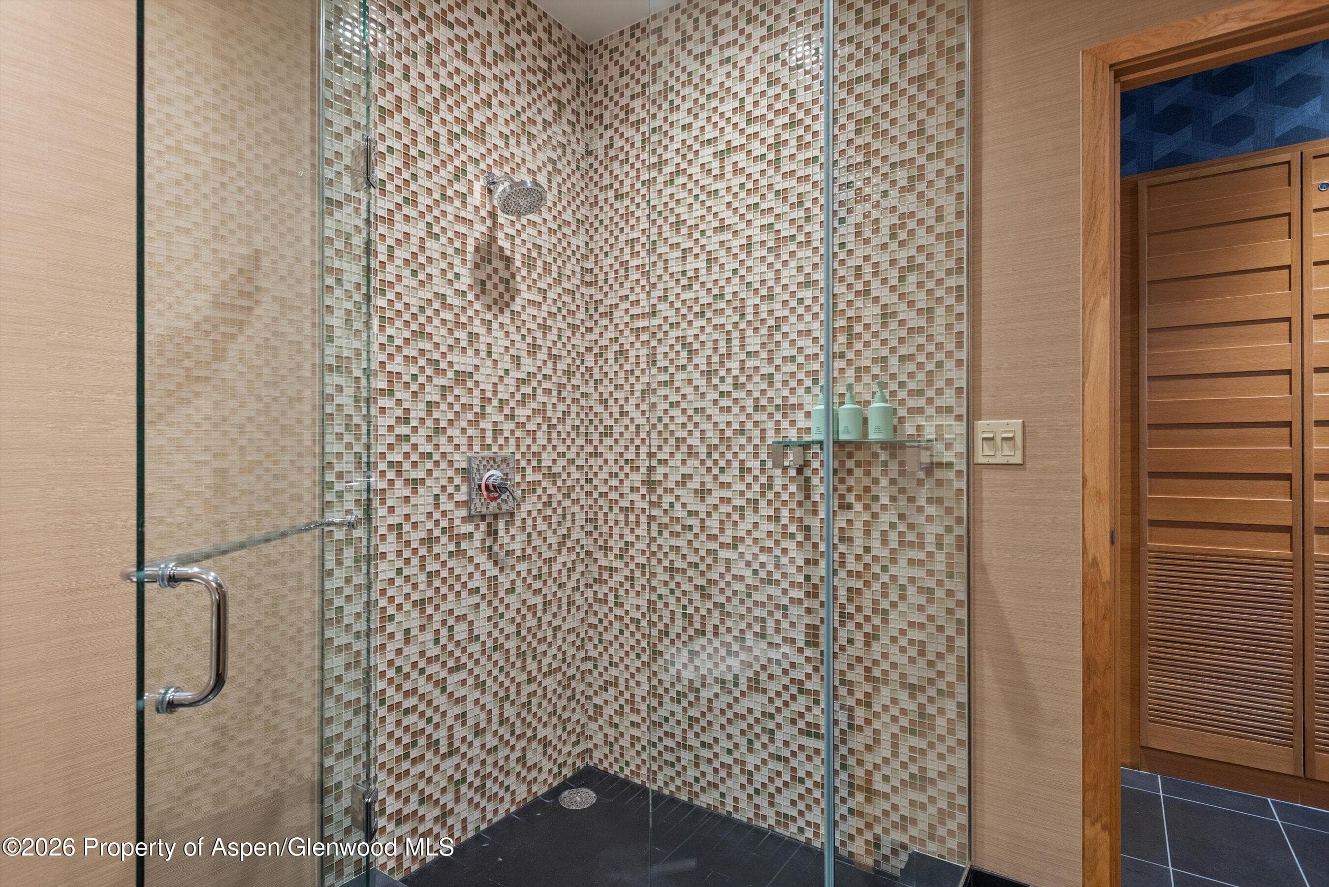 130 Wood Road 426, Snowmass Village, CO 81615 - Photo 9