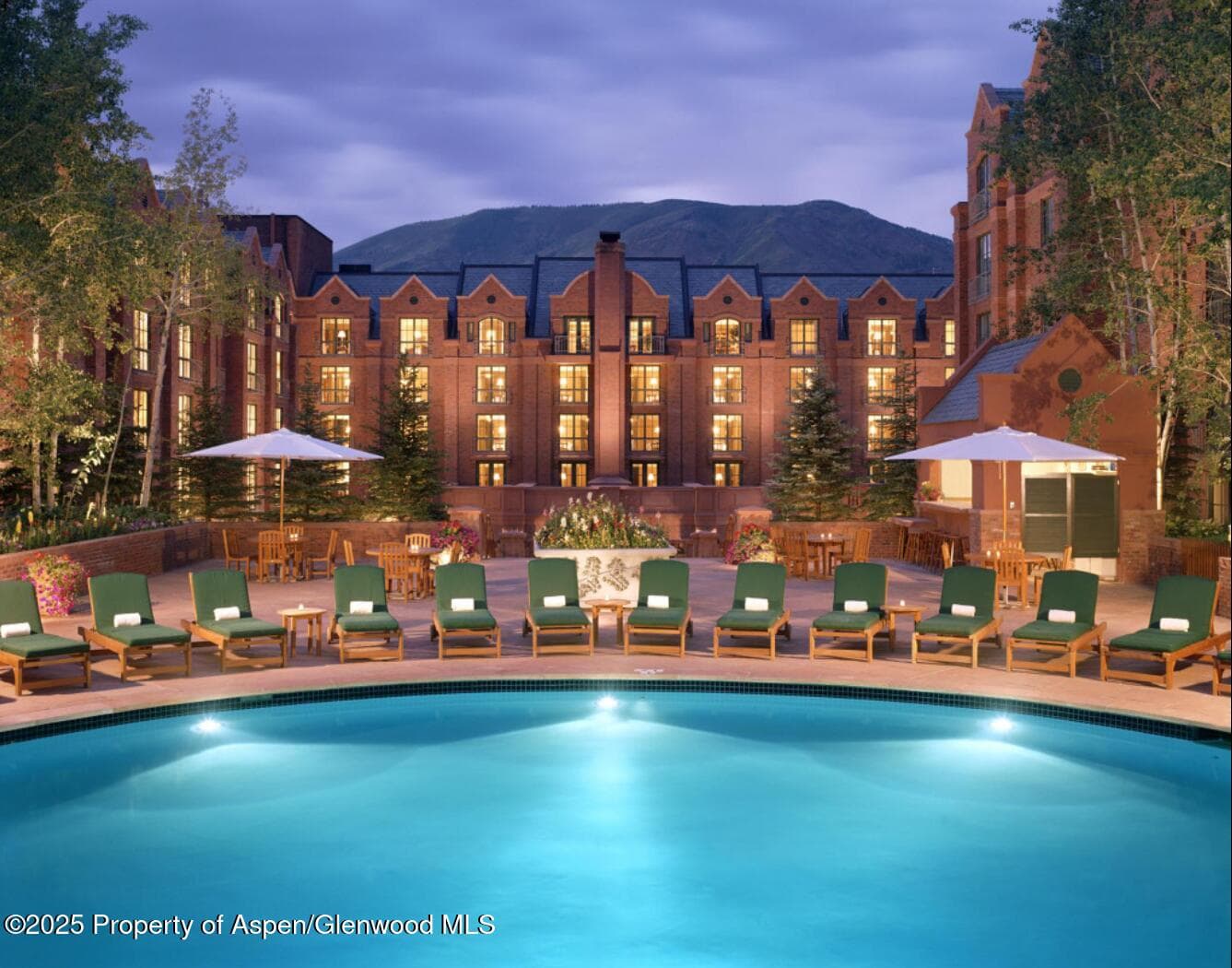 315 E Dean St, B51 Wks 2,3,4,14,33,37,41,42, Aspen, CO 81611 - Photo 15