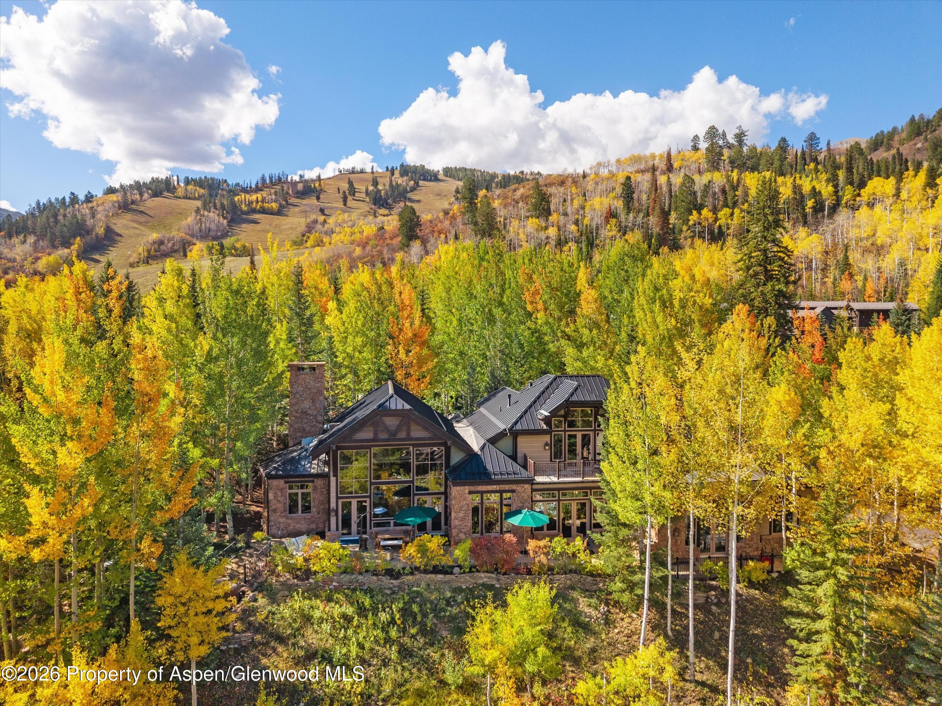 353 Pfister Drive, Aspen, CO 81611 - Photo 49