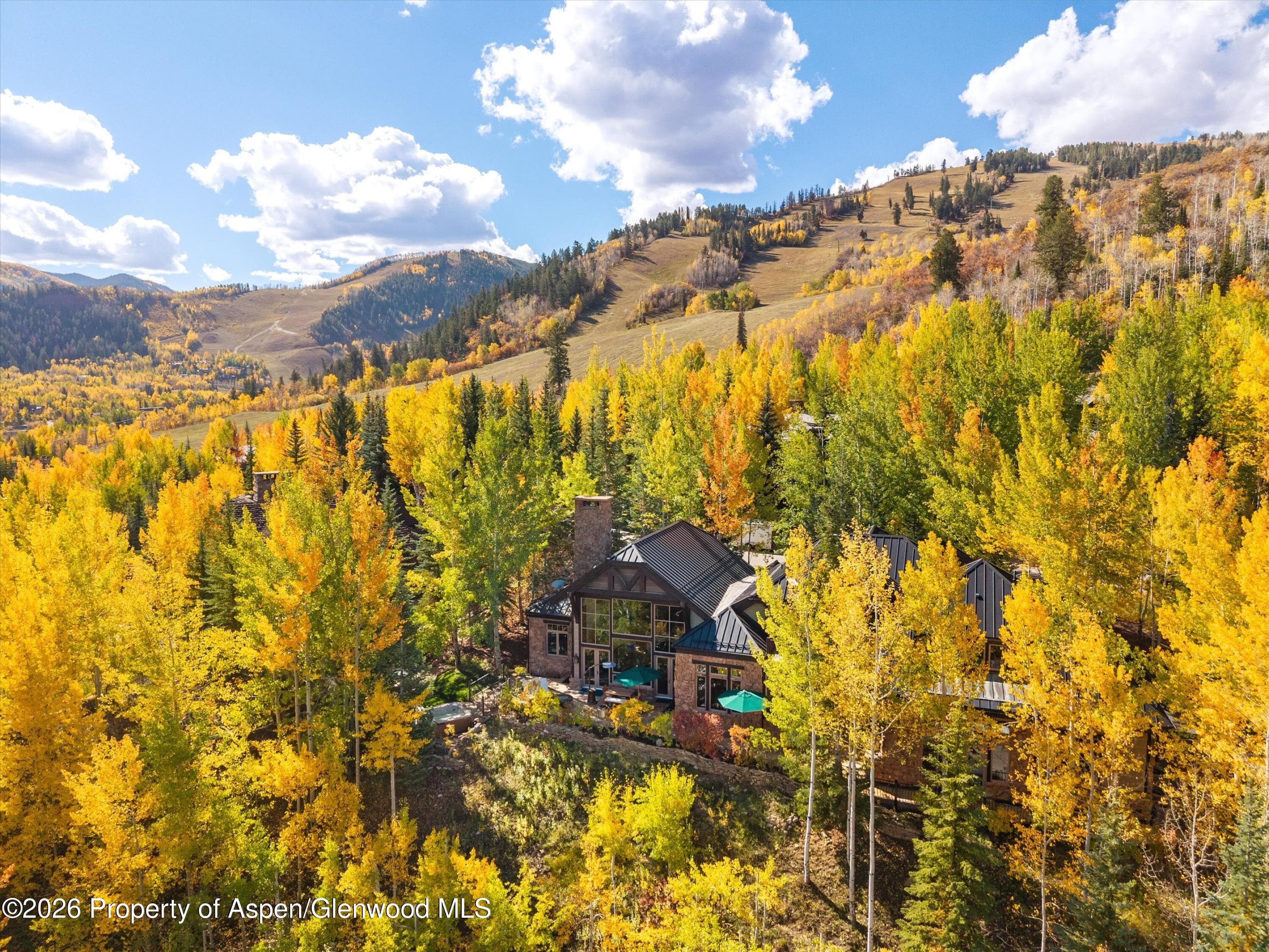 353 Pfister Drive, Aspen, CO 81611 - Photo 50