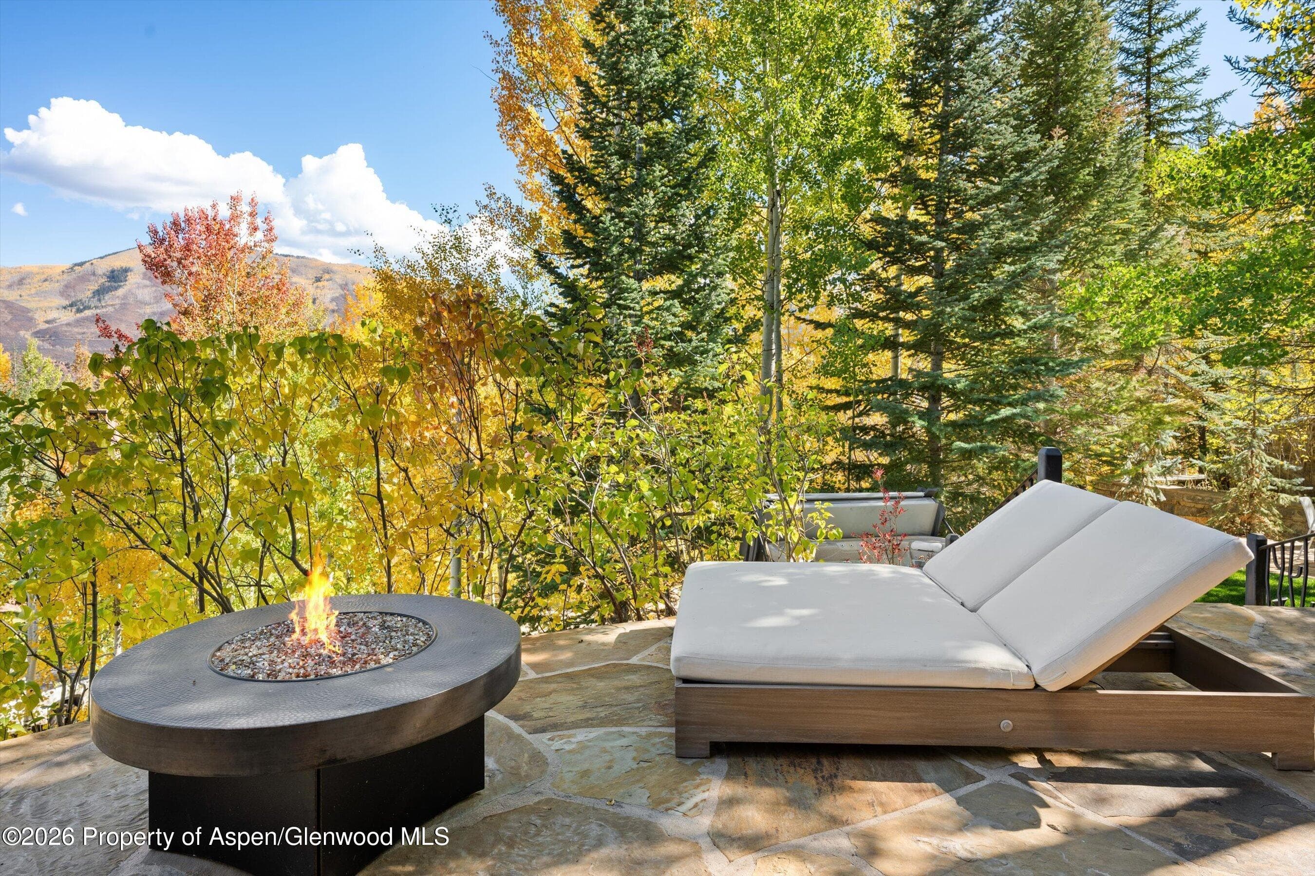 353 Pfister Drive, Aspen, CO 81611 - Photo 7