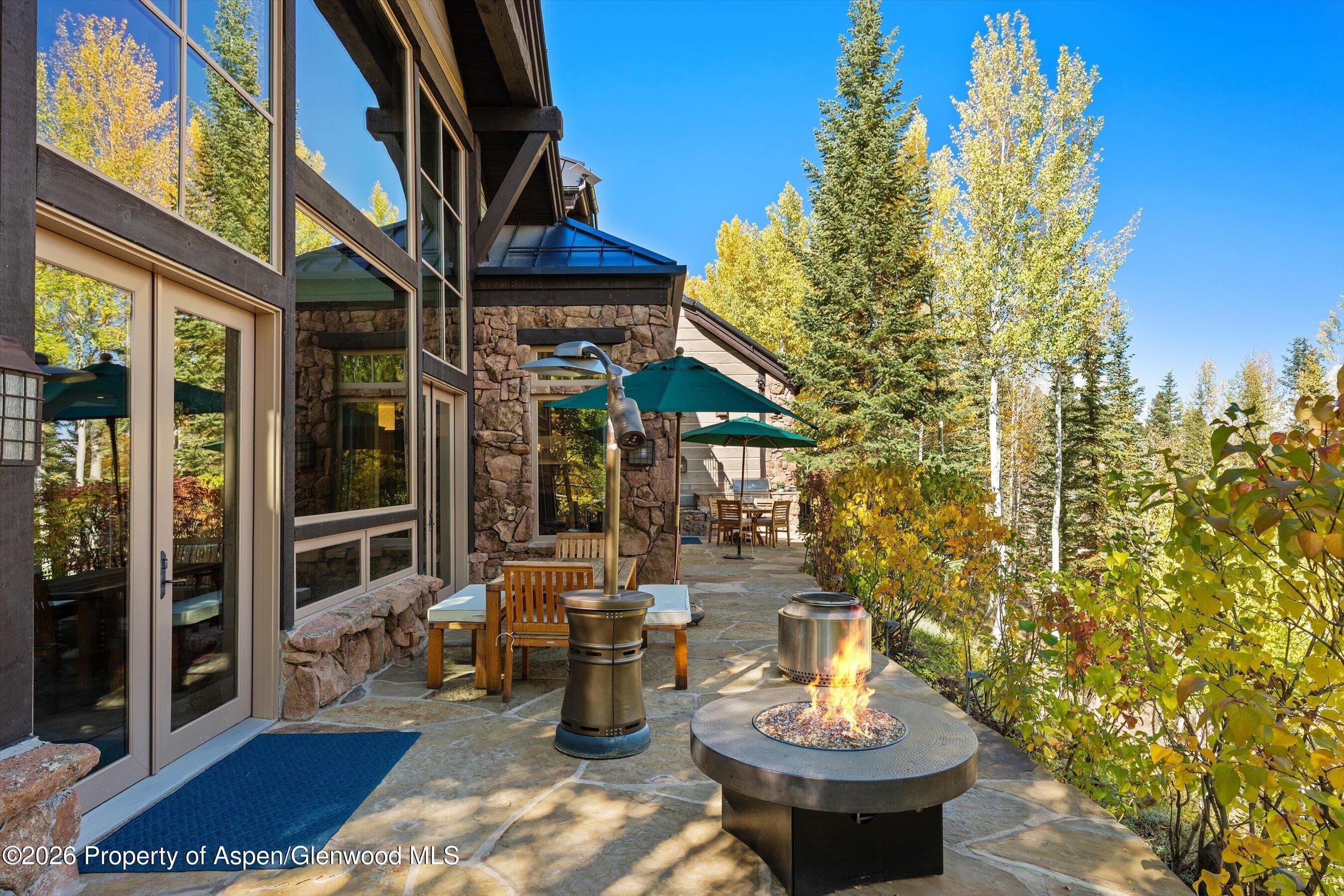 353 Pfister Drive, Aspen, CO 81611 - Photo 8