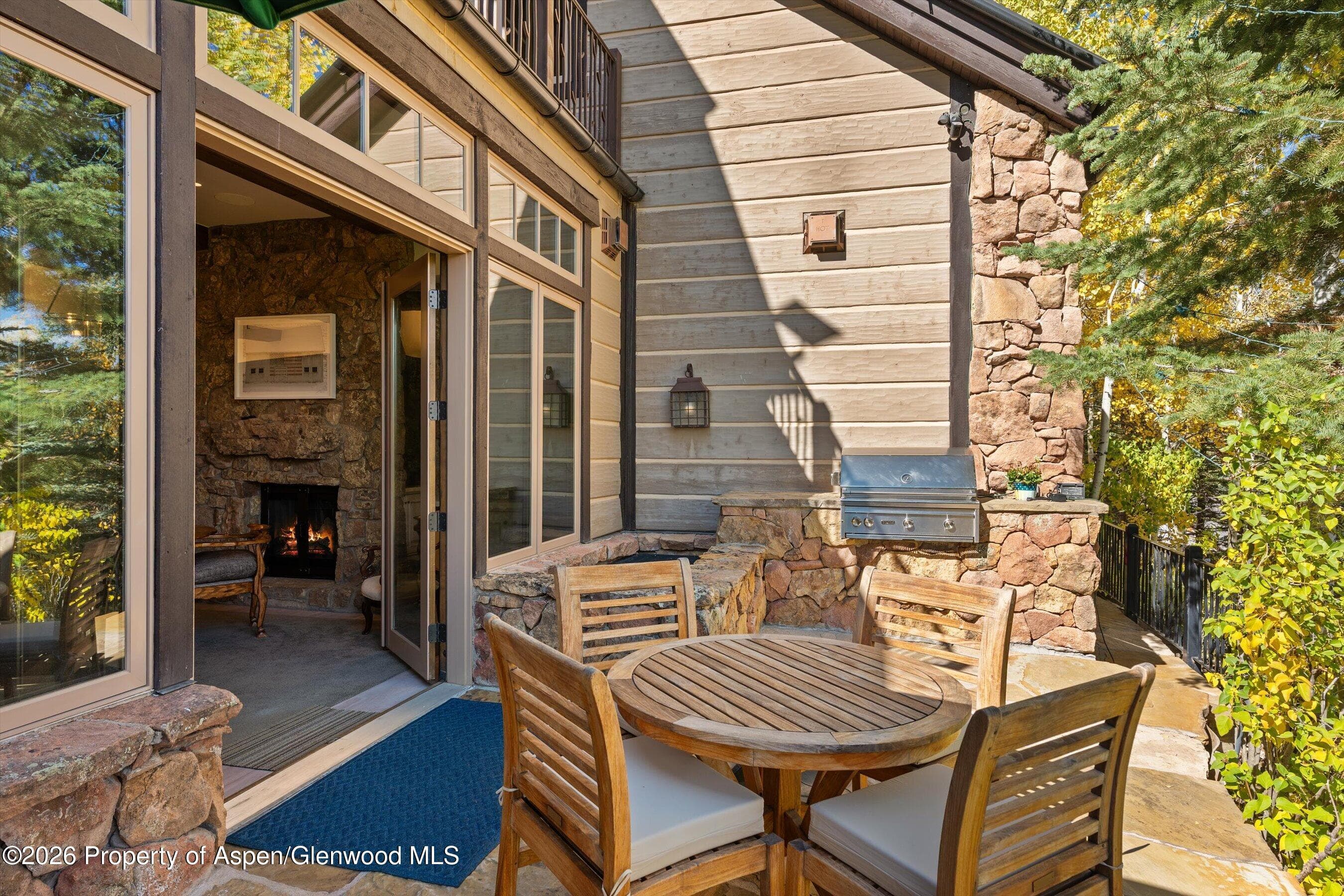 353 Pfister Drive, Aspen, CO 81611 - Photo 13