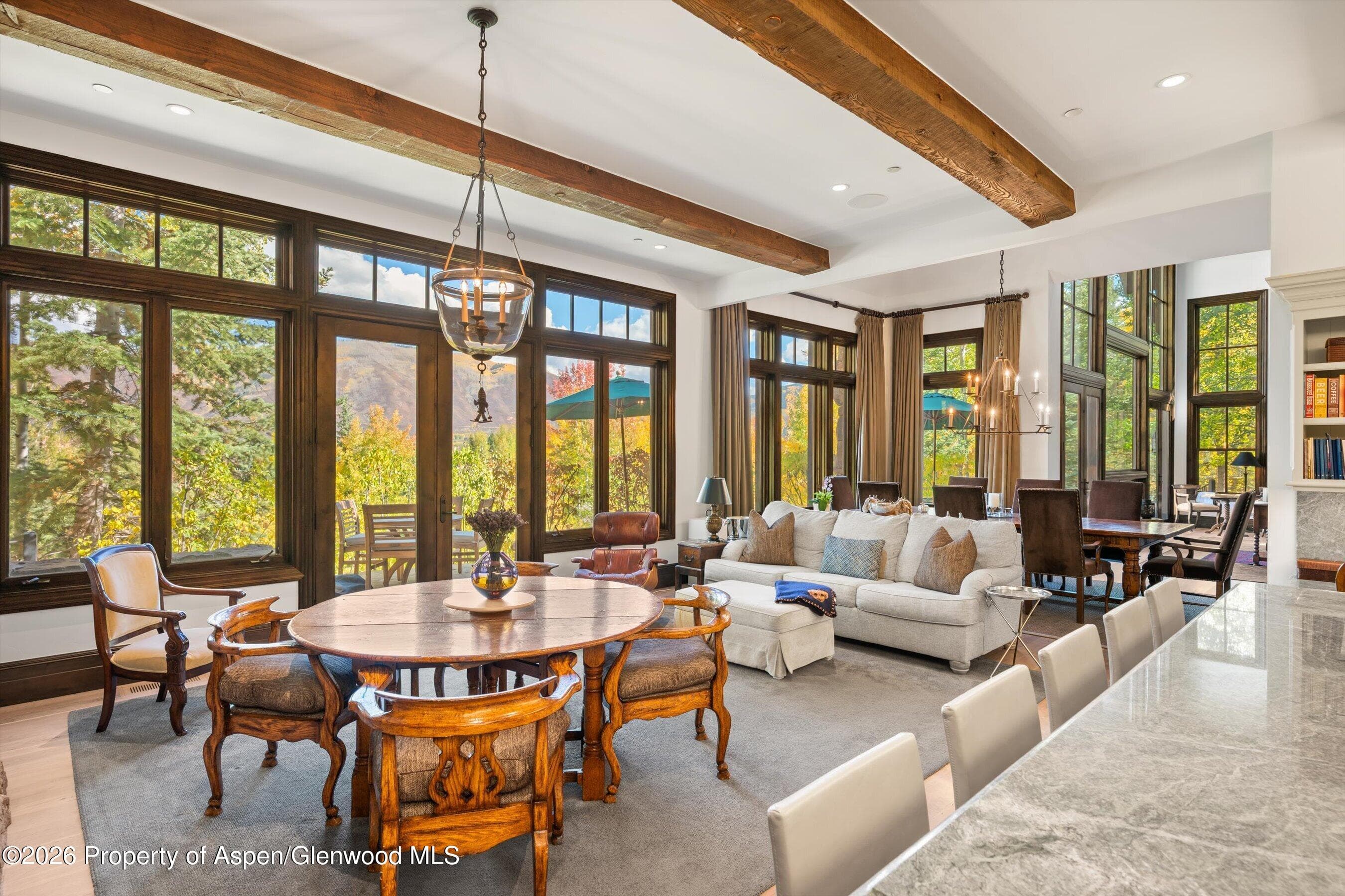 353 Pfister Drive, Aspen, CO 81611 - Photo 12