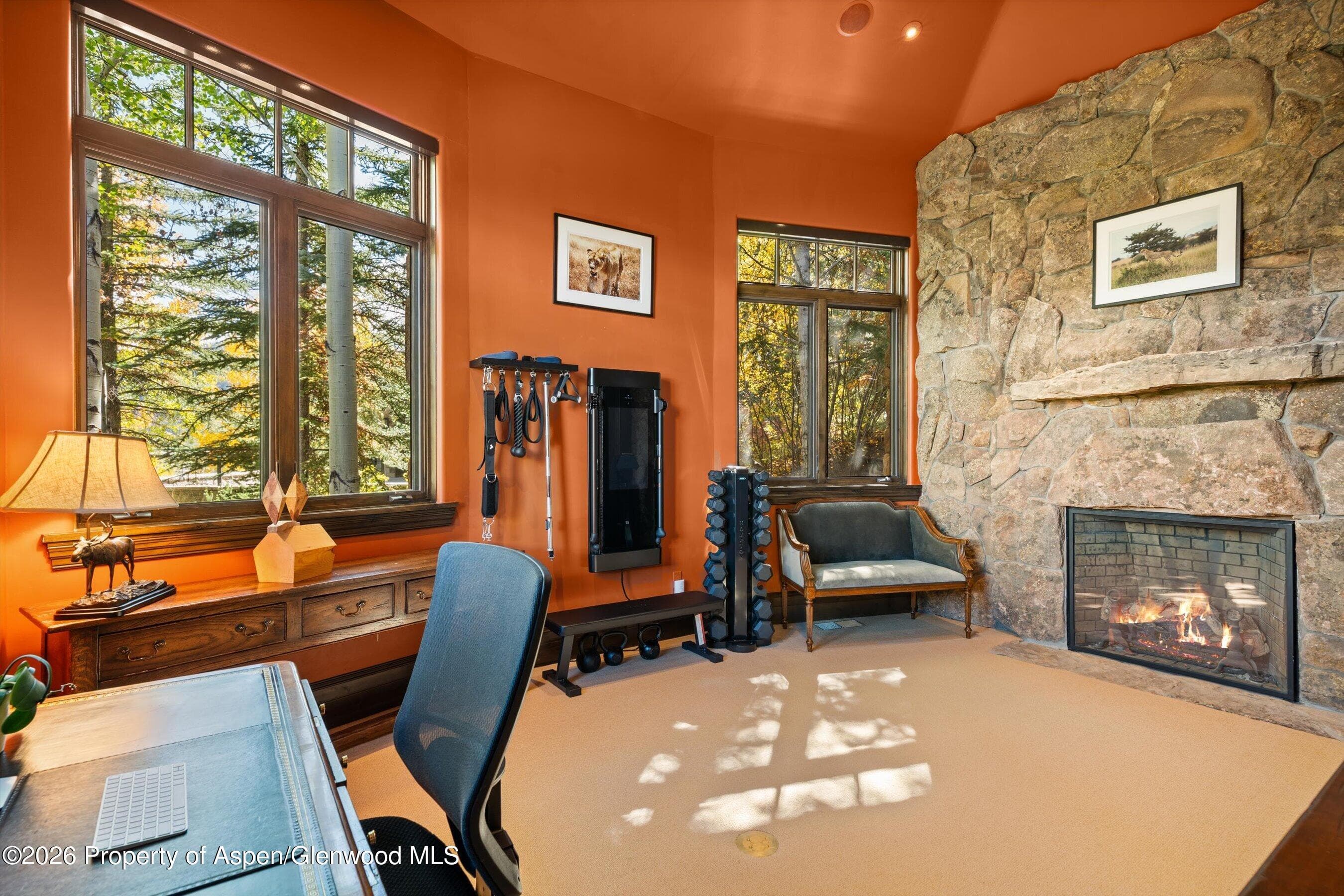 353 Pfister Drive, Aspen, CO 81611 - Photo 18
