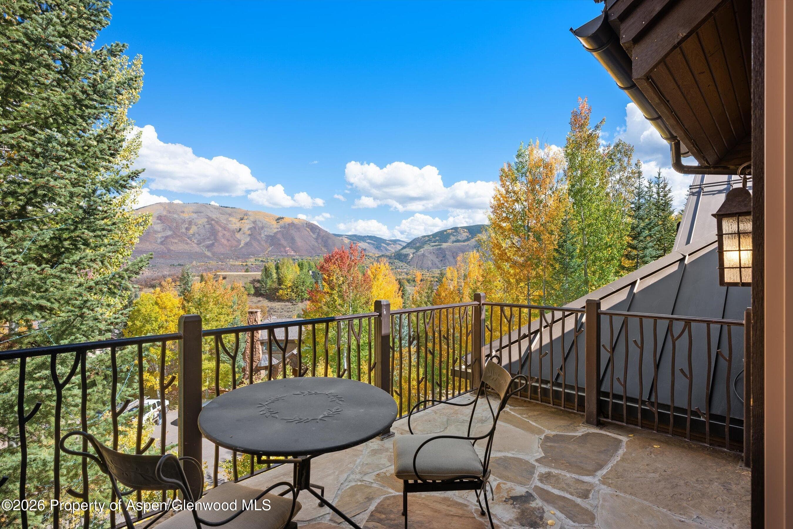 353 Pfister Drive, Aspen, CO 81611 - Photo 23