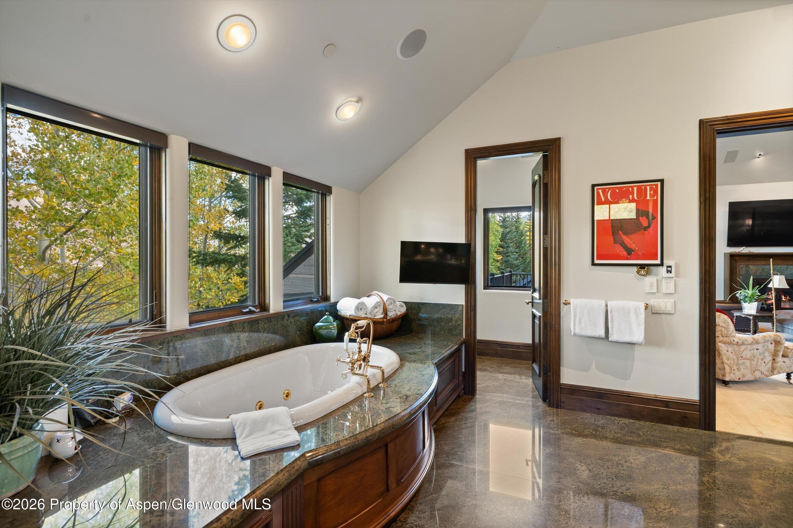 353 Pfister Drive, Aspen, CO 81611 - Photo 25