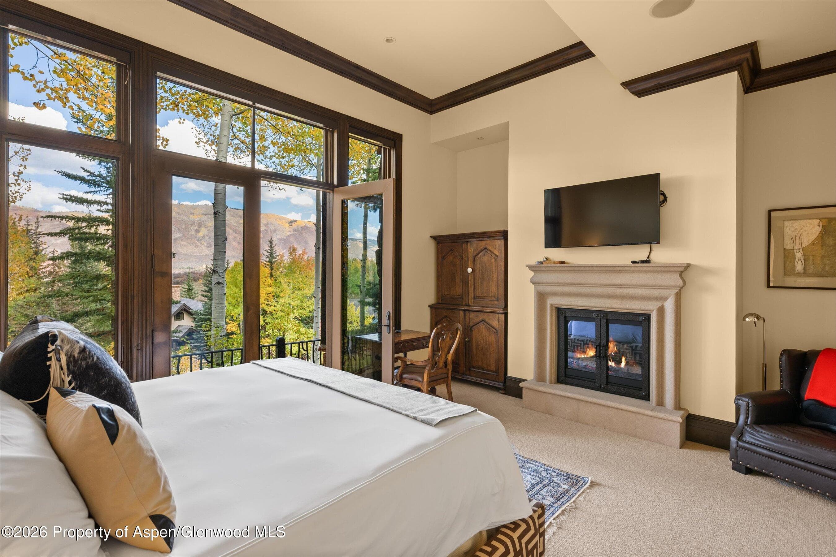 353 Pfister Drive, Aspen, CO 81611 - Photo 28