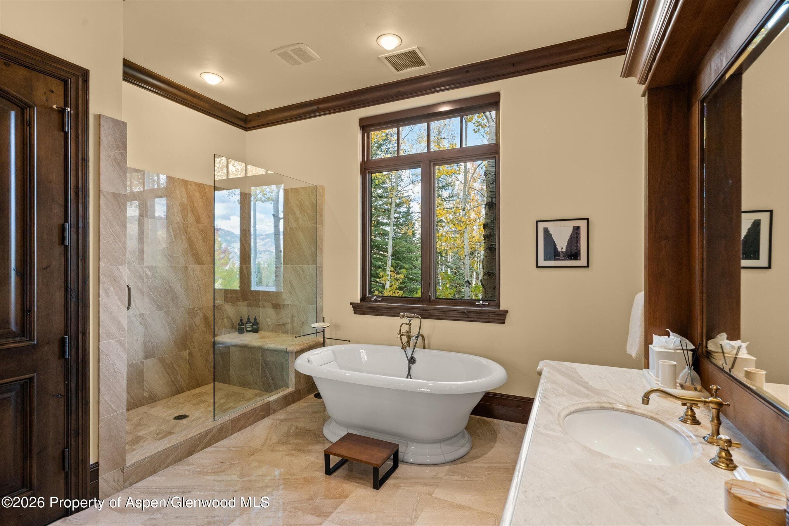 353 Pfister Drive, Aspen, CO 81611 - Photo 30