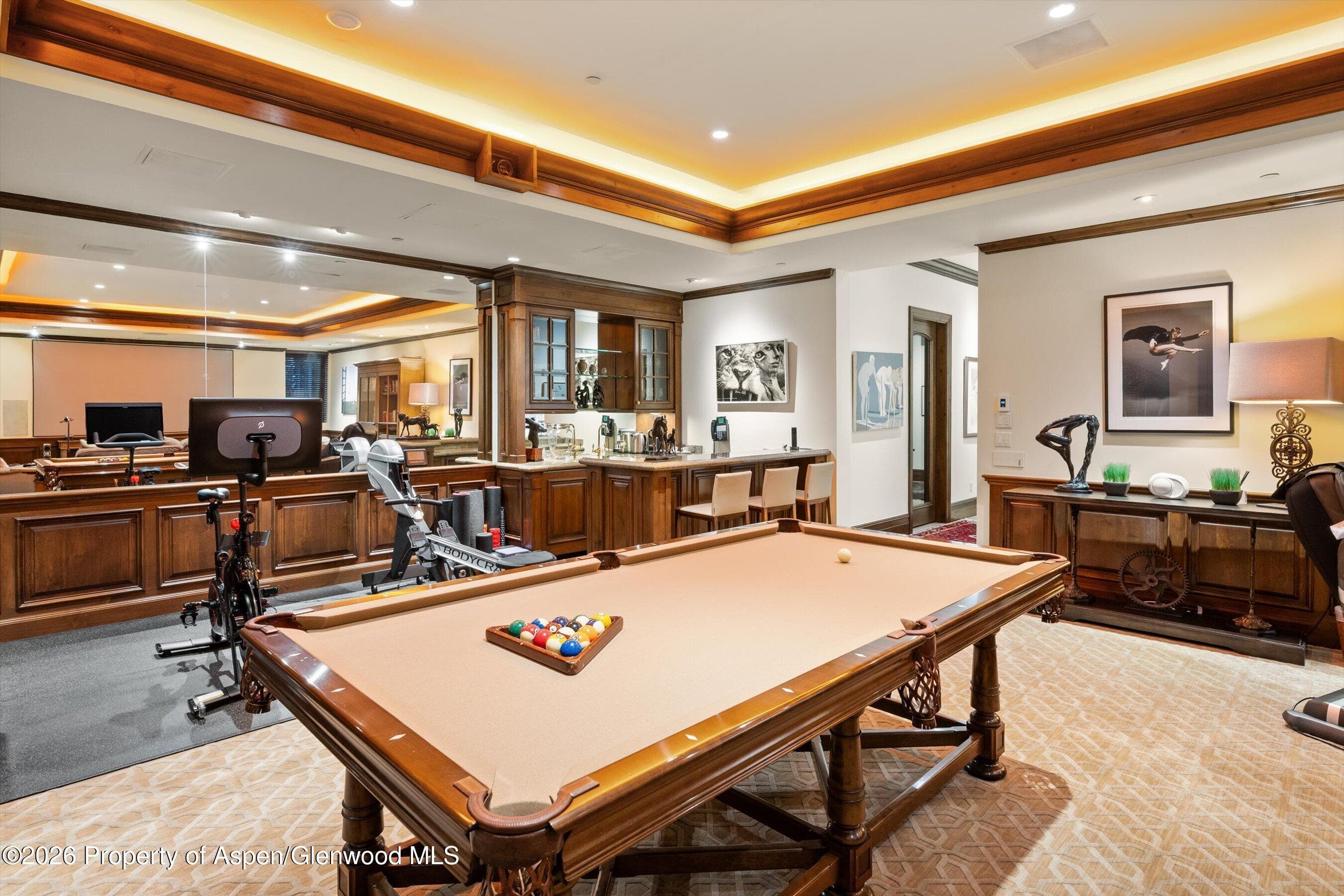 353 Pfister Drive, Aspen, CO 81611 - Photo 35