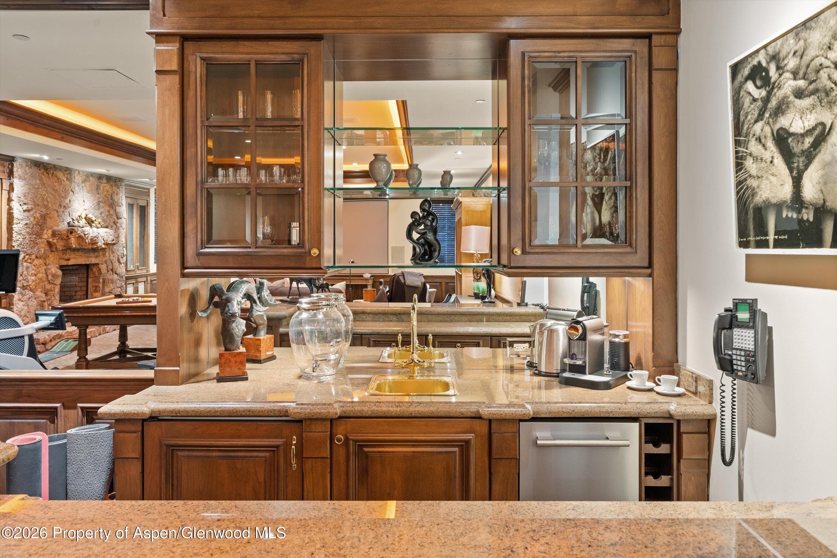 353 Pfister Drive, Aspen, CO 81611 - Photo 36