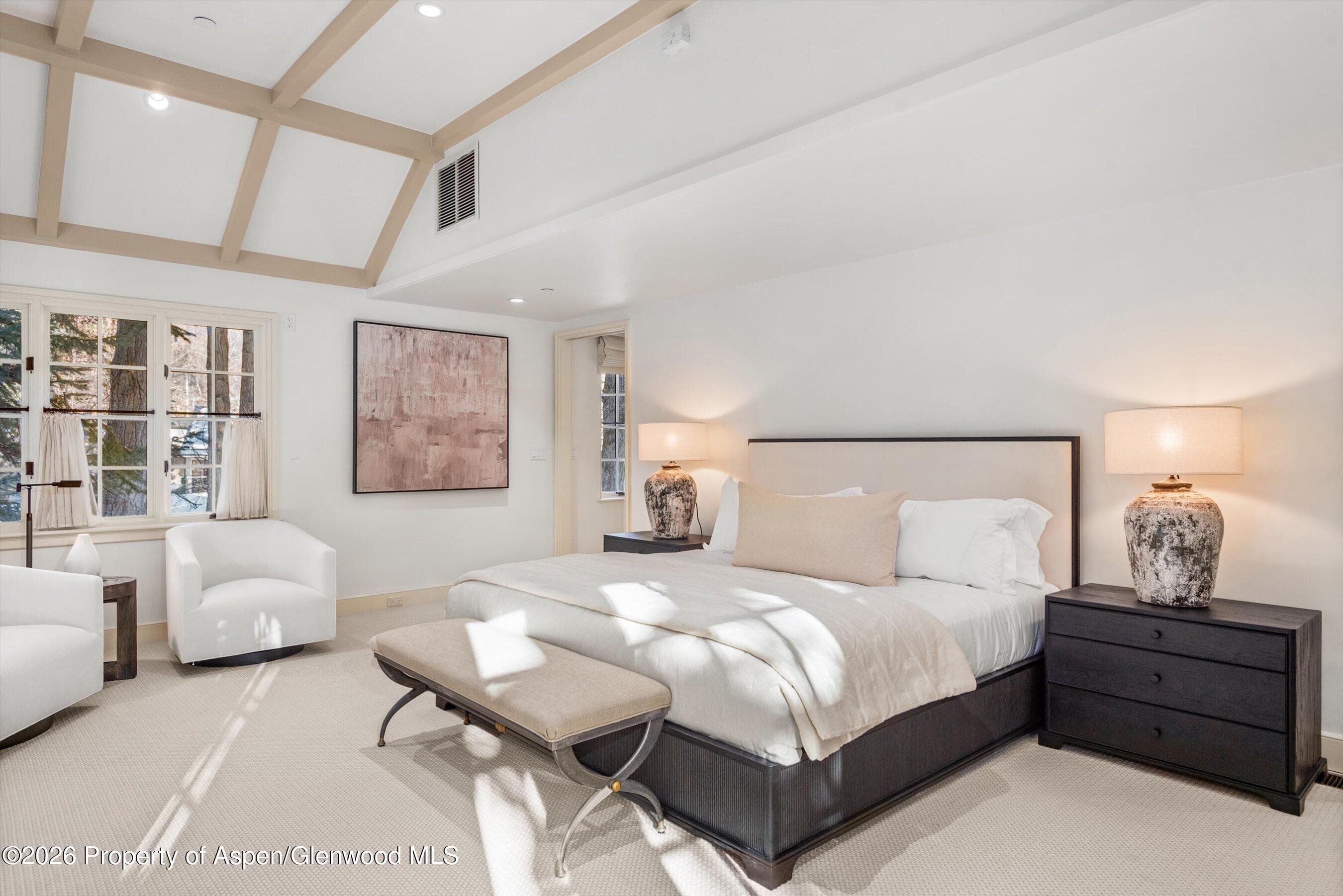 721 W North Street, Aspen, CO 81611 - Photo 7