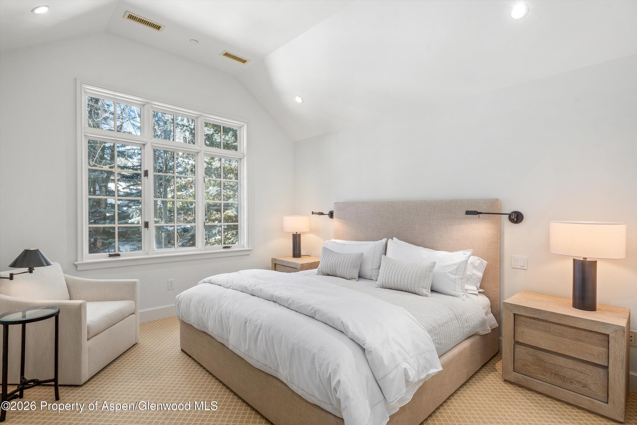 721 W North Street, Aspen, CO 81611 - Photo 11