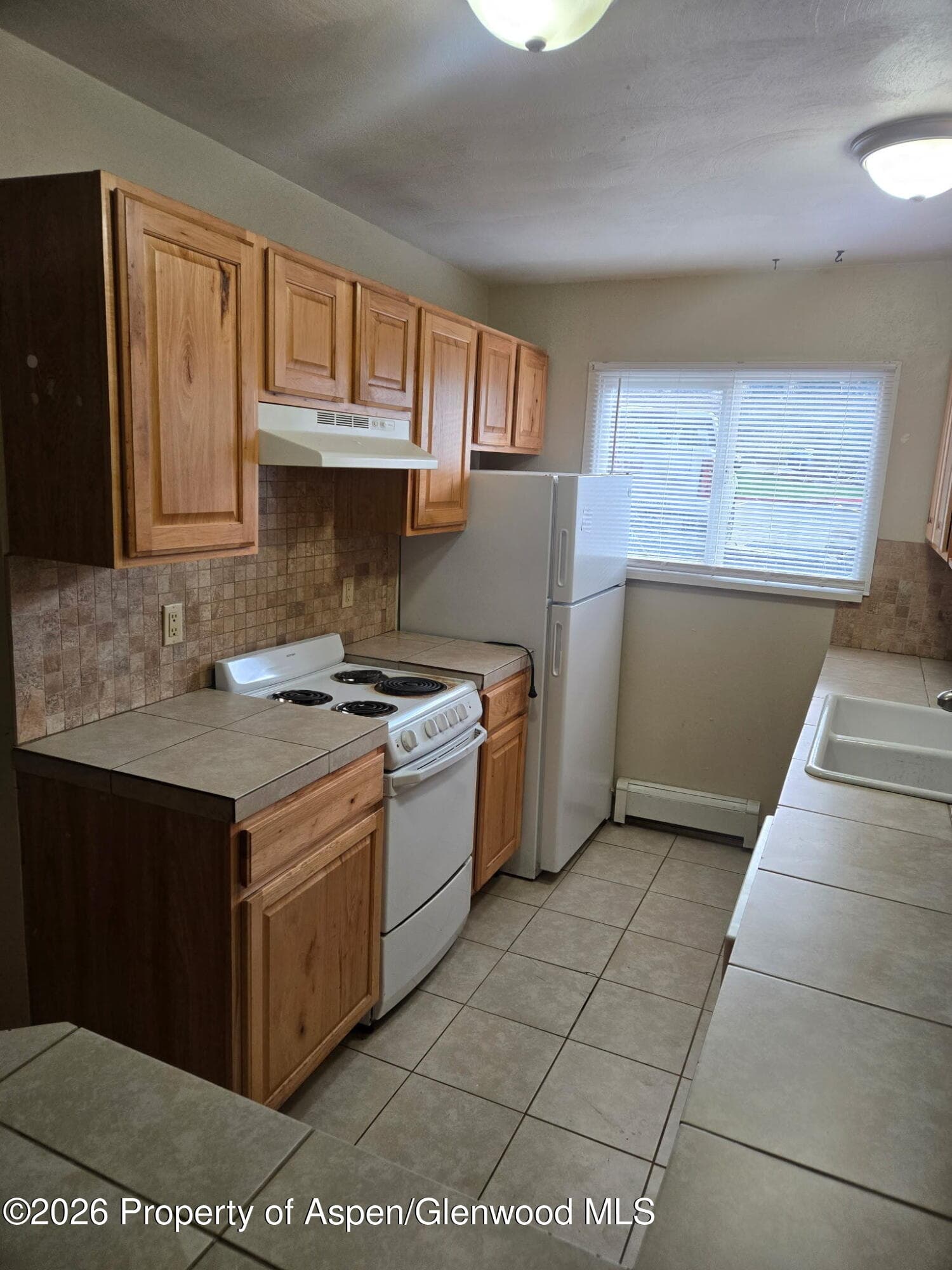 51519 Highway 6 38, Glenwood Springs, CO 81601 - Photo 2