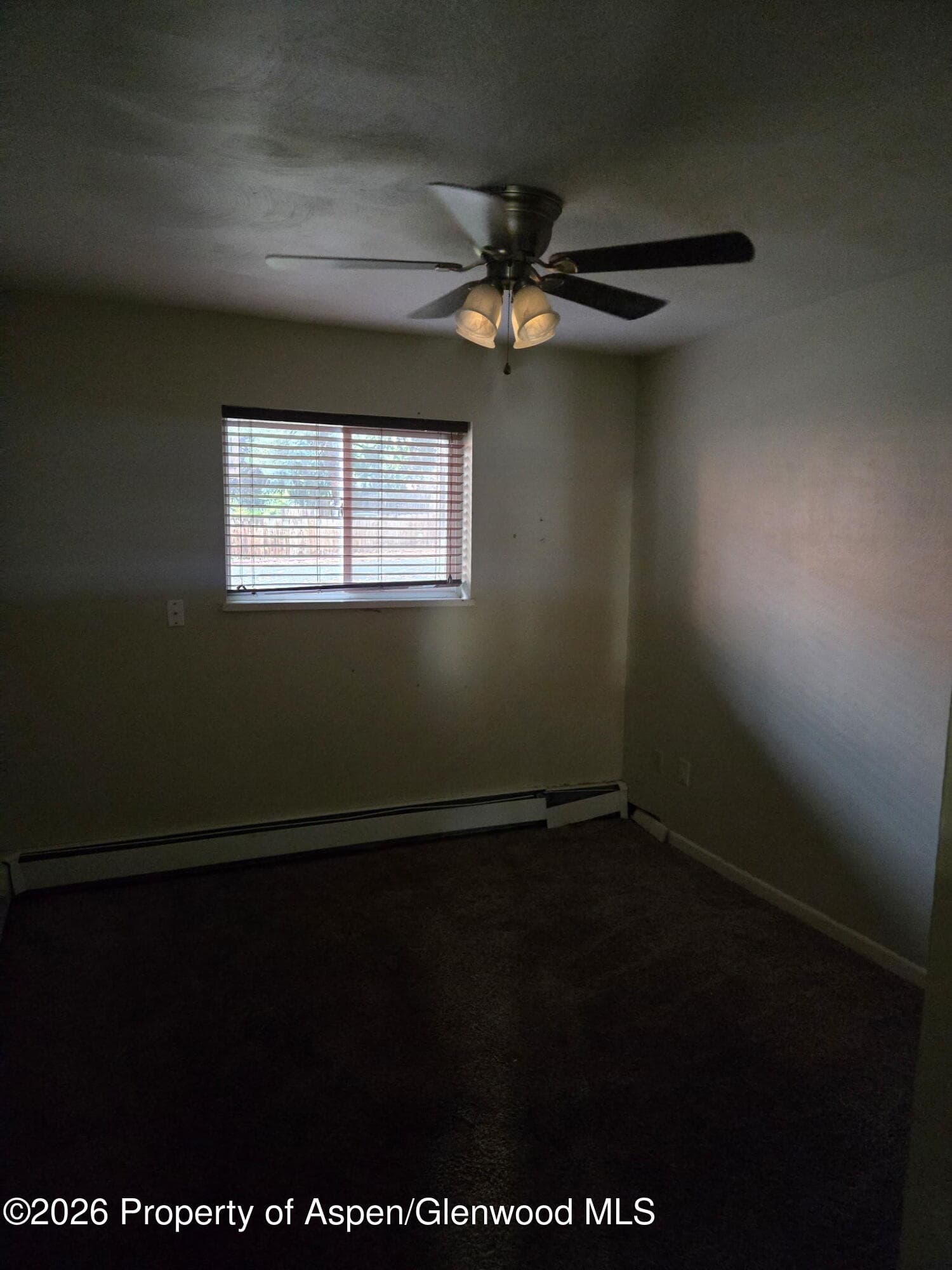 51519 Highway 6 38, Glenwood Springs, CO 81601 - Photo 5