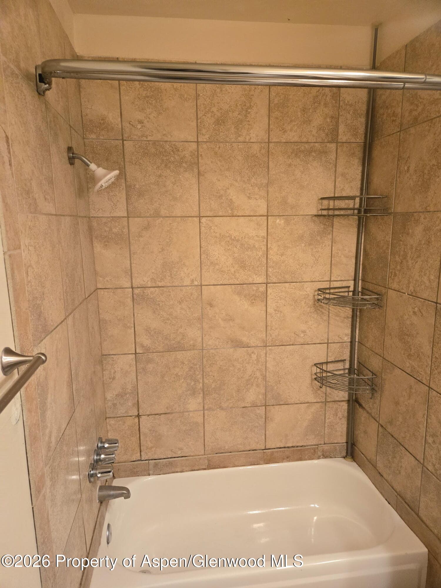 51519 Highway 6 38, Glenwood Springs, CO 81601 - Photo 4