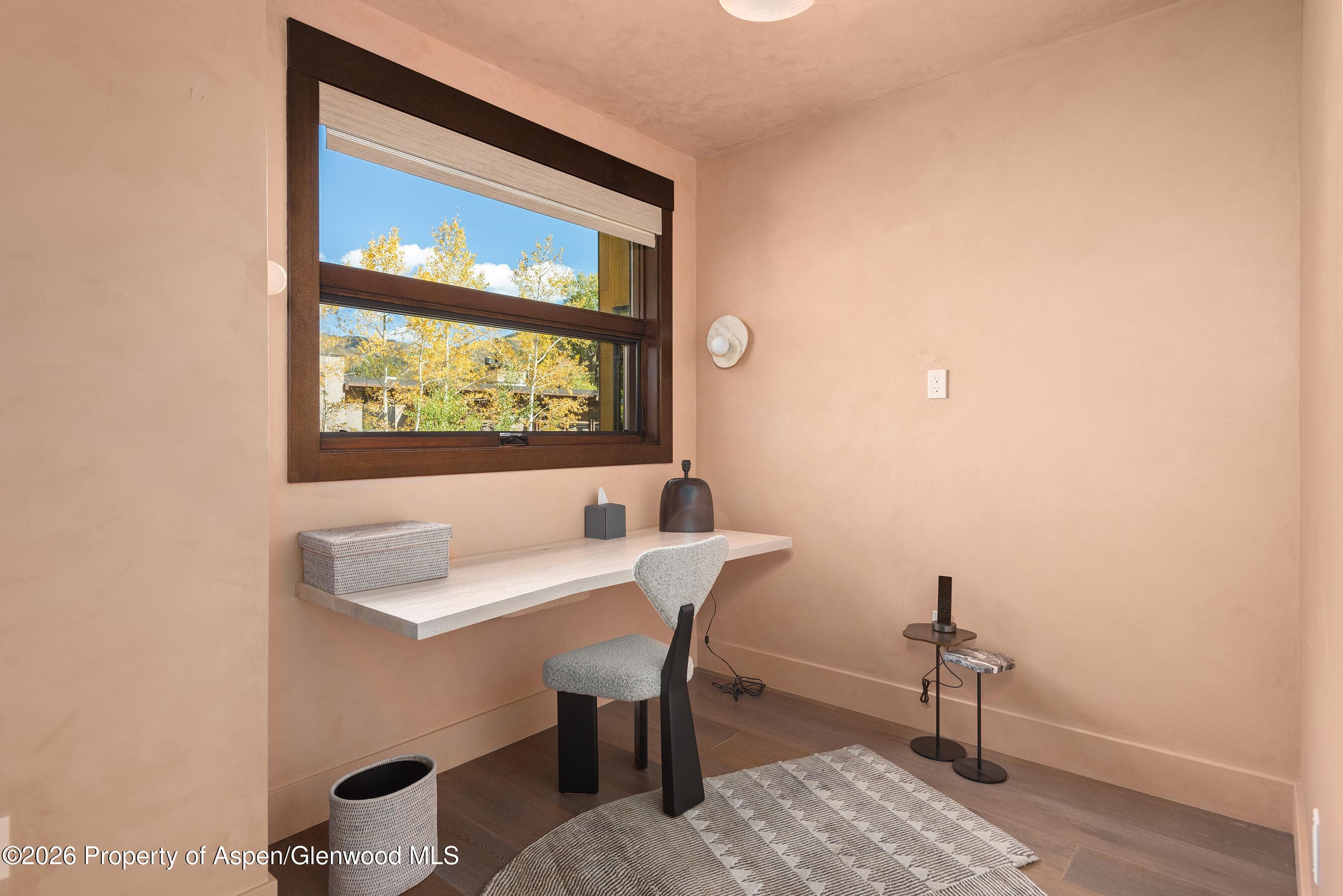 120 Juan Street Fm-A-101, Aspen, CO 81611 - Photo 25