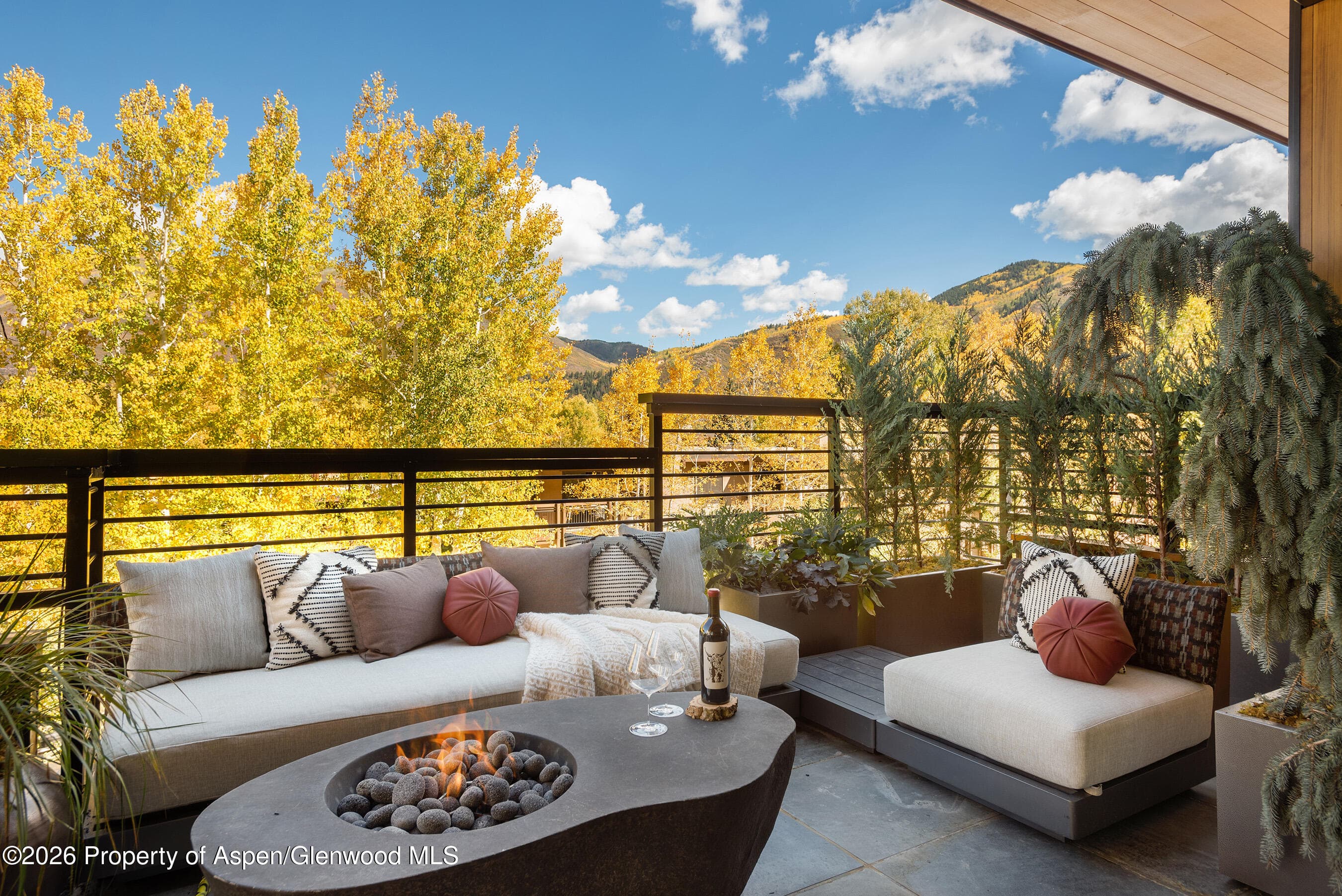 120 Juan Street Fm-A-101, Aspen, CO 81611 - Photo 15