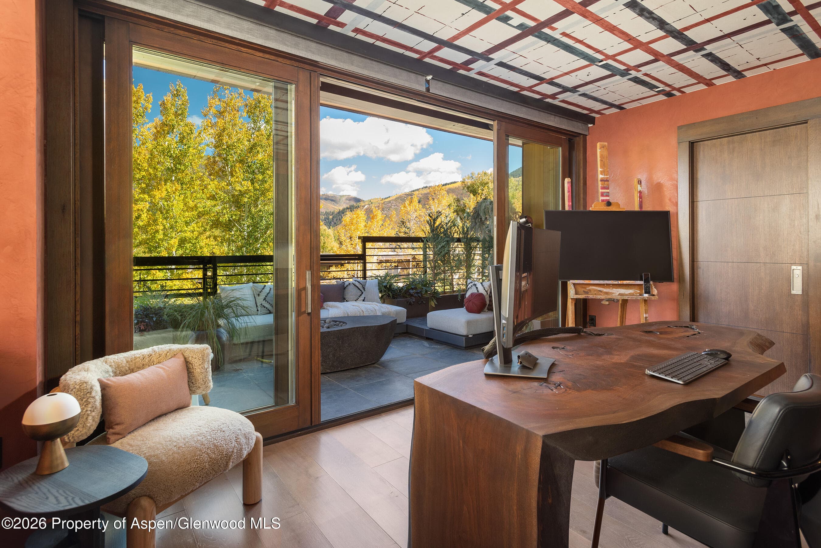 120 Juan Street Fm-A-101, Aspen, CO 81611 - Photo 12