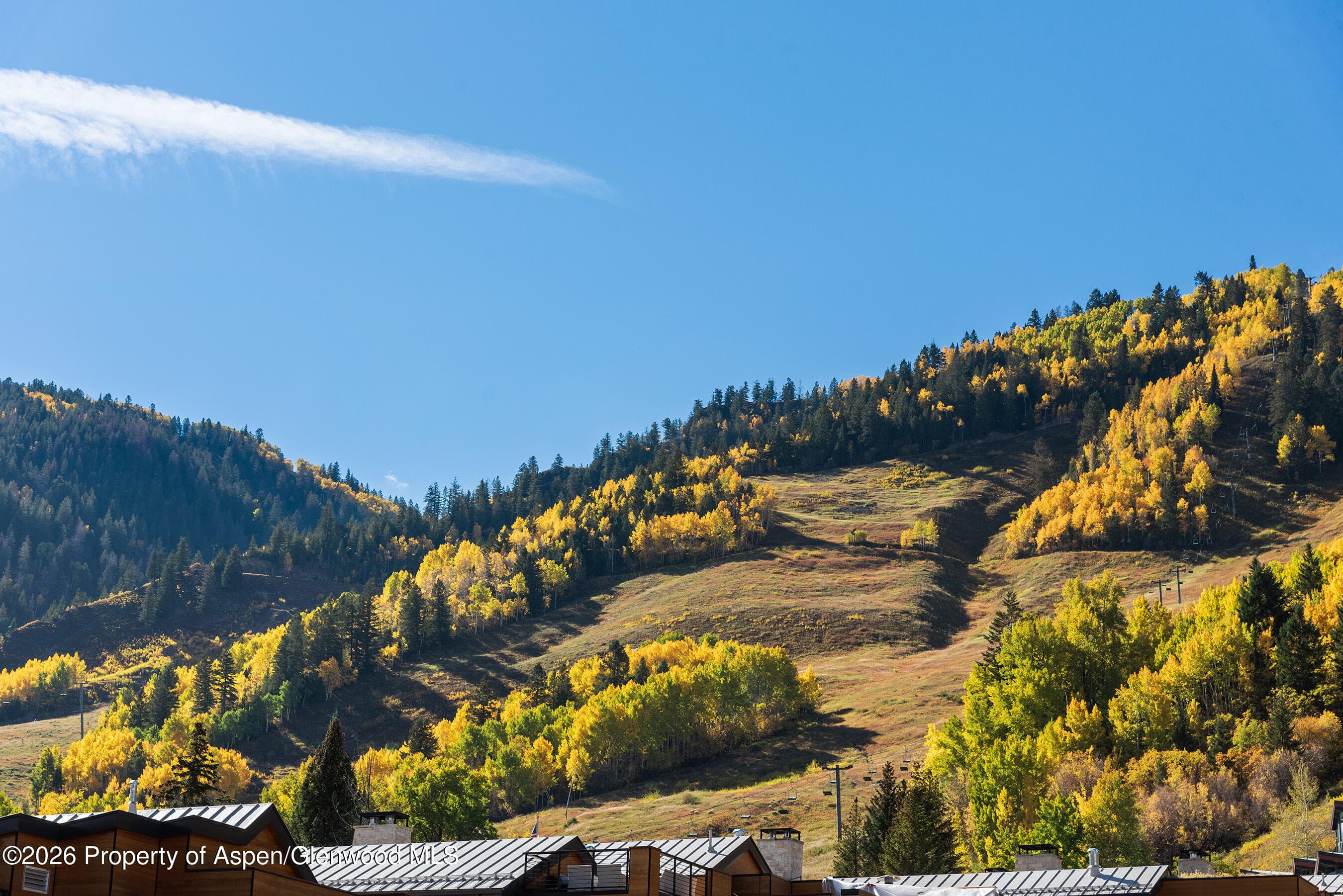 120 Juan Street Fm-A-101, Aspen, CO 81611 - Photo 36