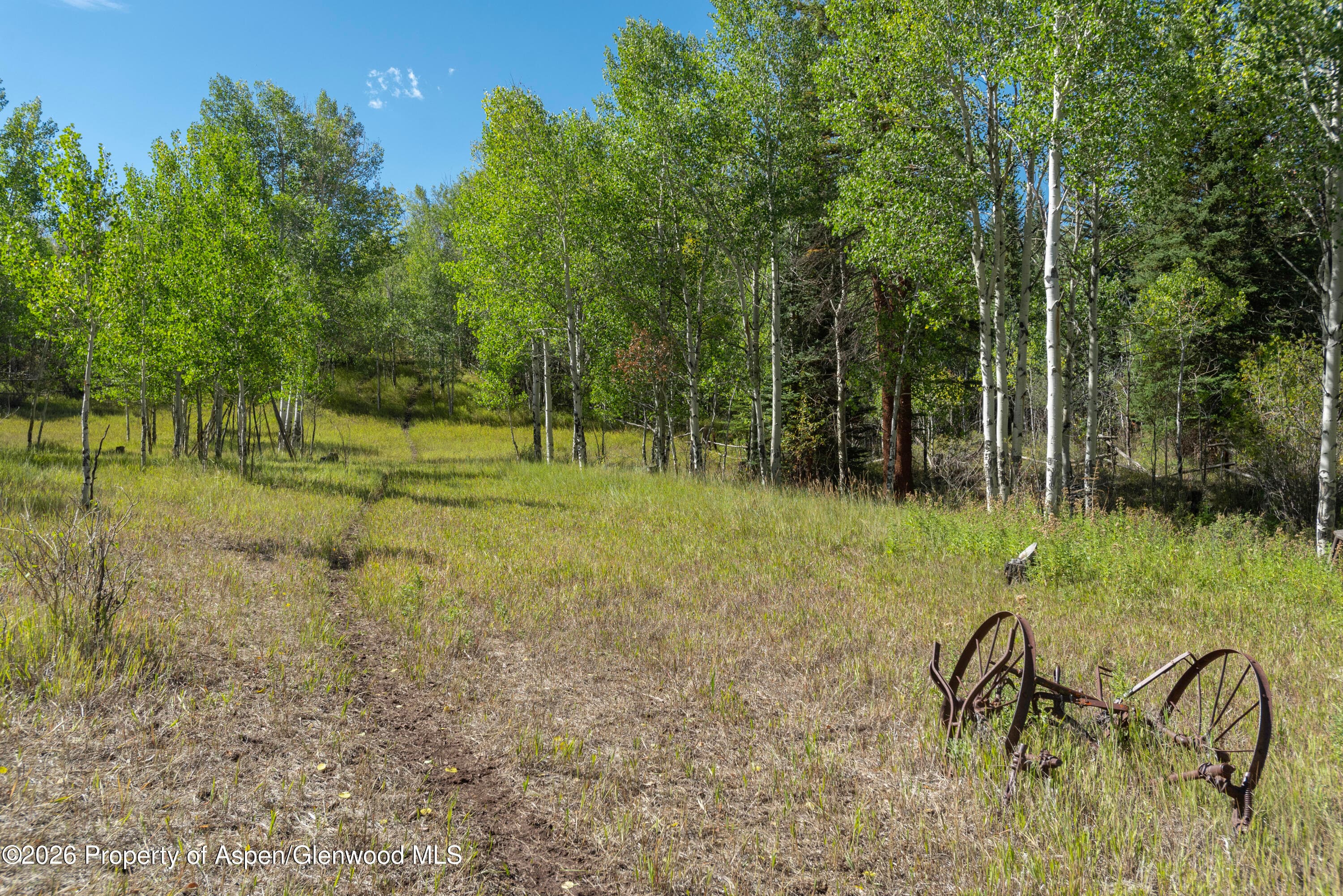 278 Oak Ridge Drive, Aspen, CO 81611 - Photo 36