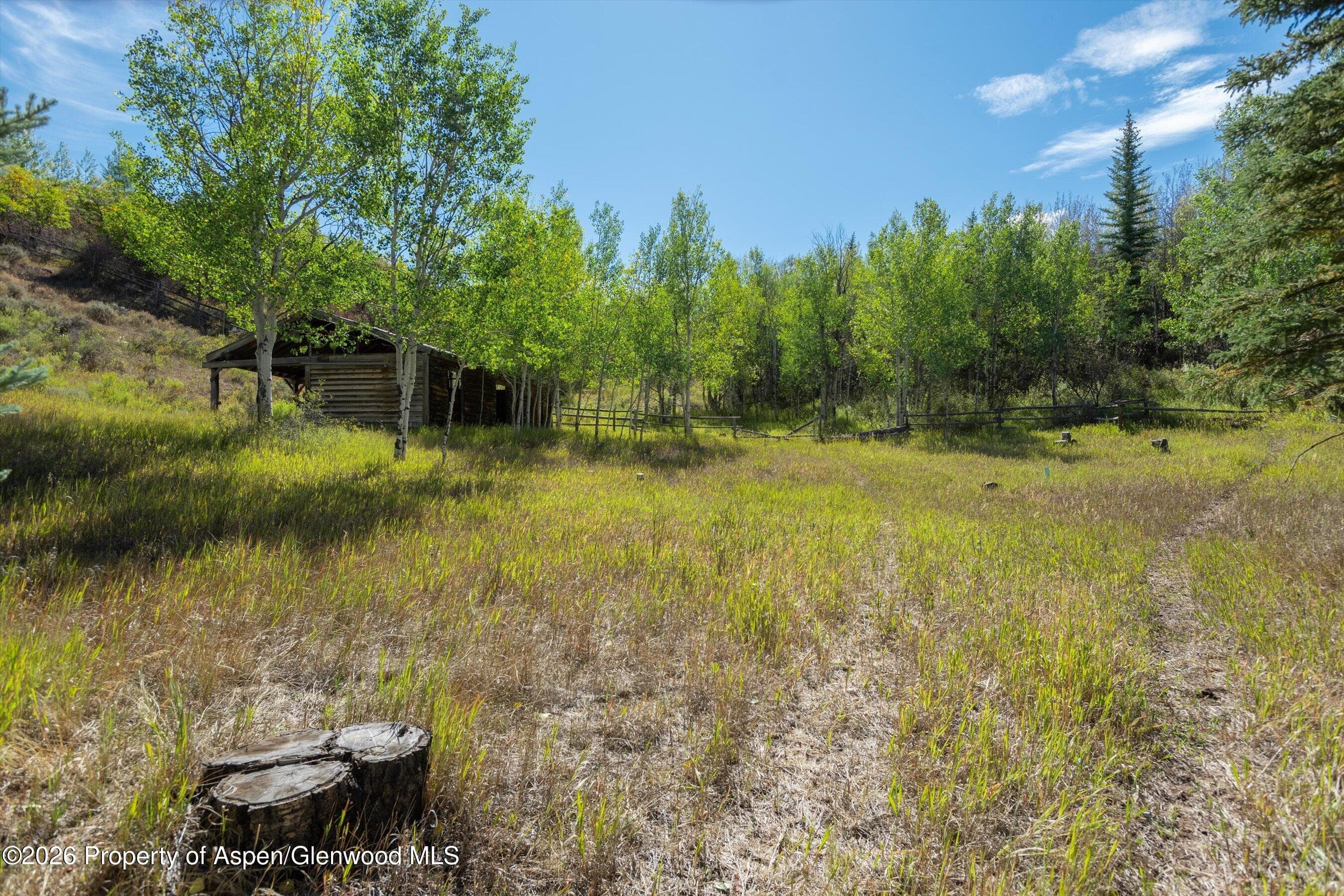 278 Oak Ridge Drive, Aspen, CO 81611 - Photo 37