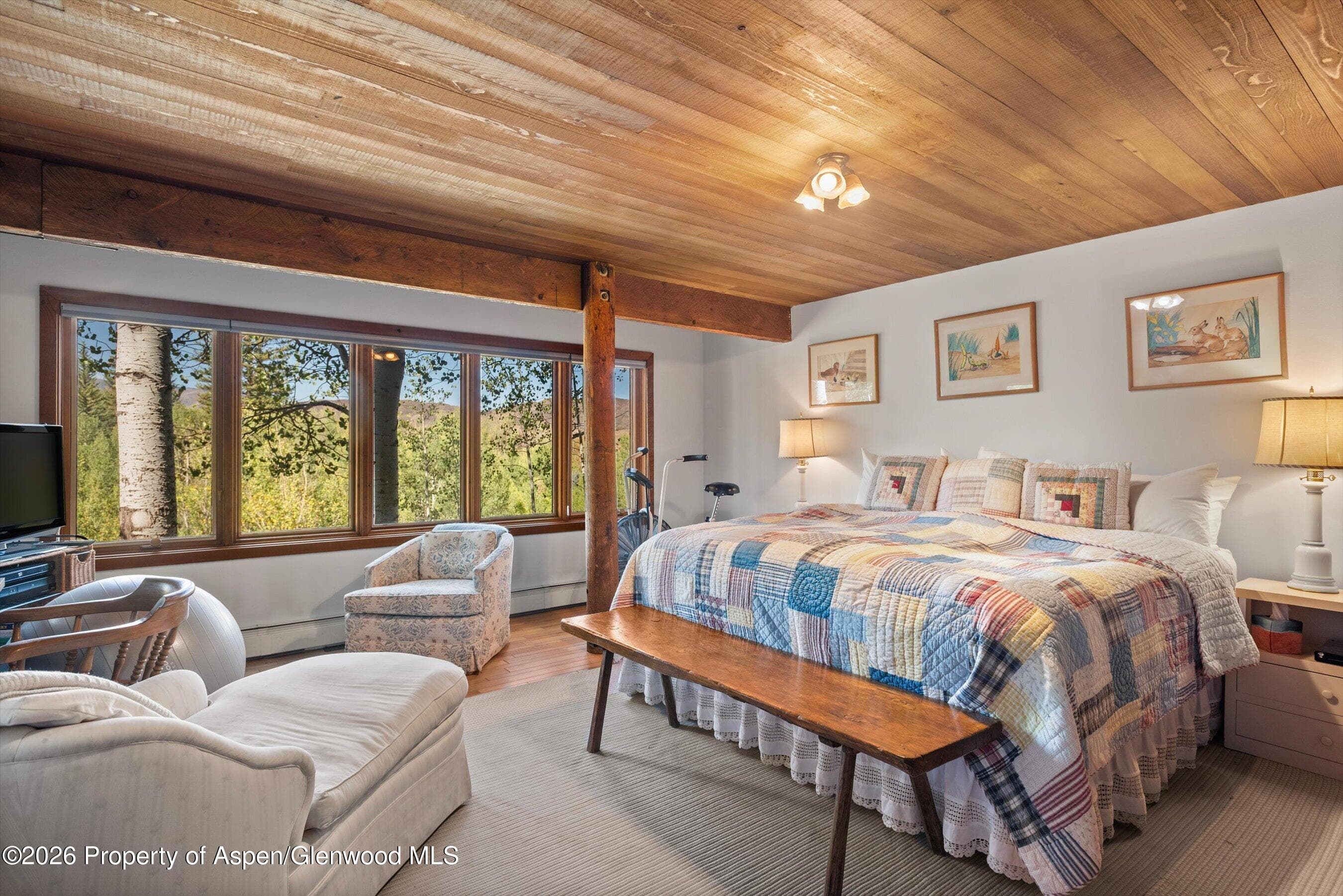 278 Oak Ridge Drive, Aspen, CO 81611 - Photo 22