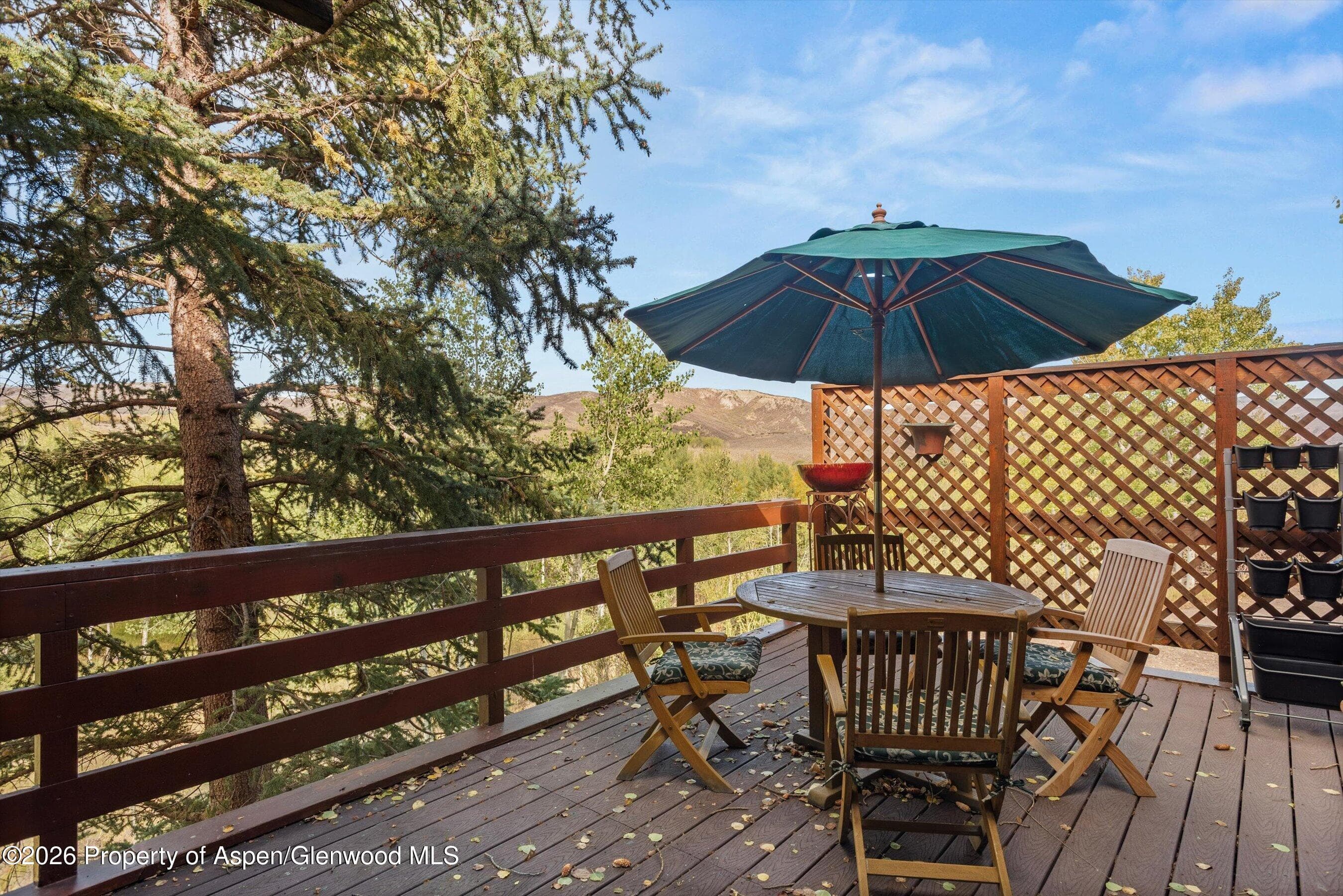 278 Oak Ridge Drive, Aspen, CO 81611 - Photo 5