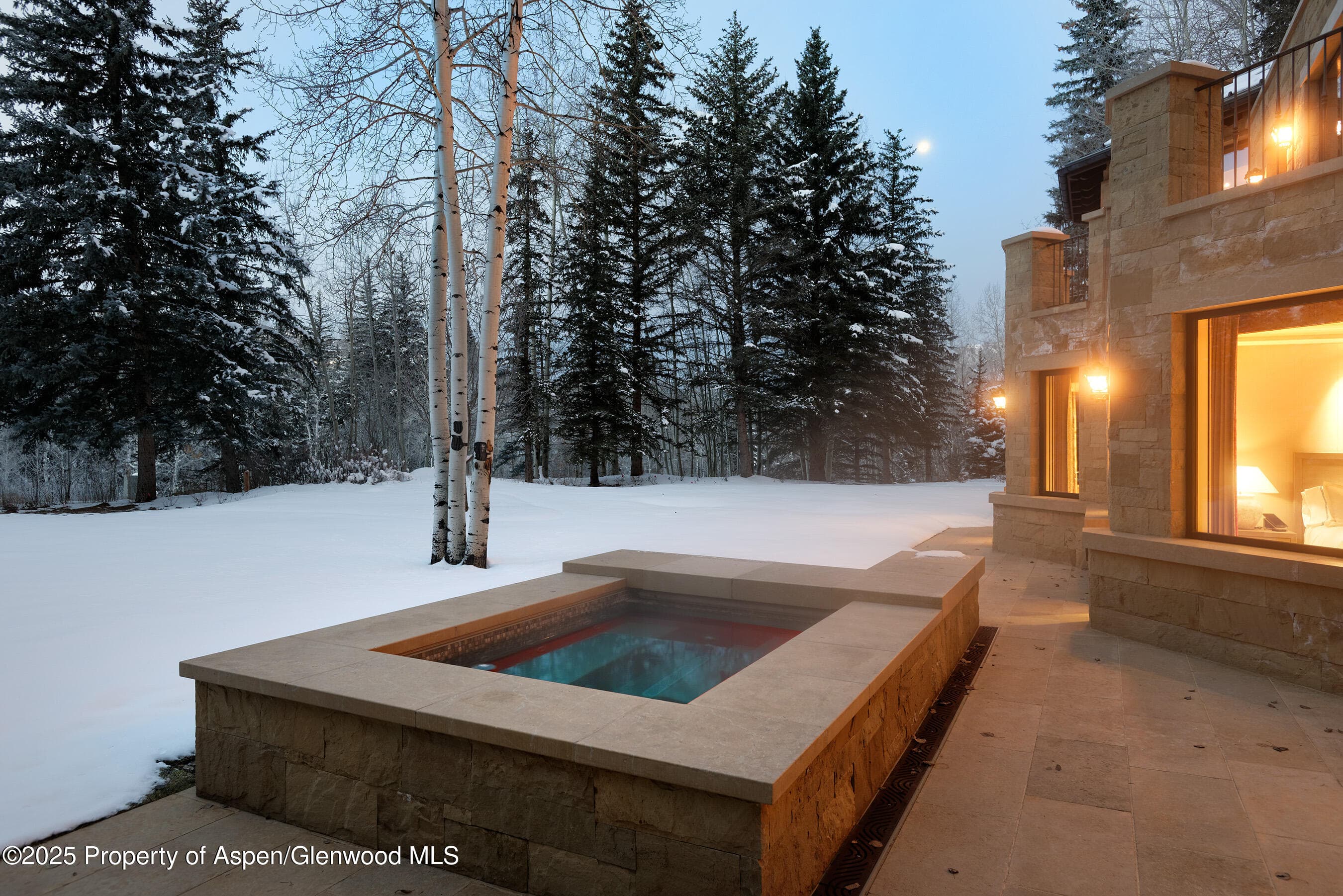 64 Pitkin Way, Aspen, CO 81611 - Photo 3