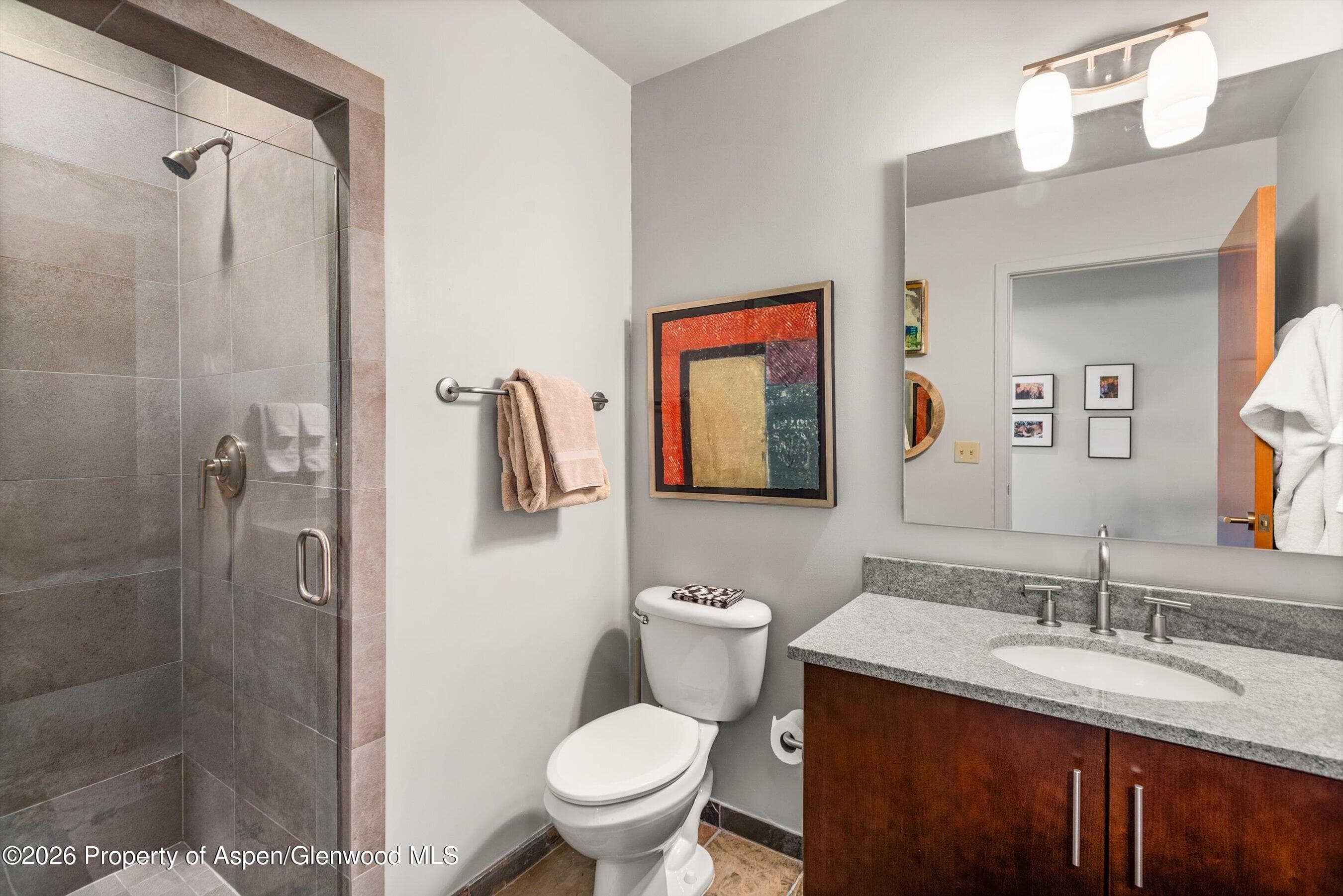 361 Robinson Street 332, Basalt, CO 81621 - Photo 20