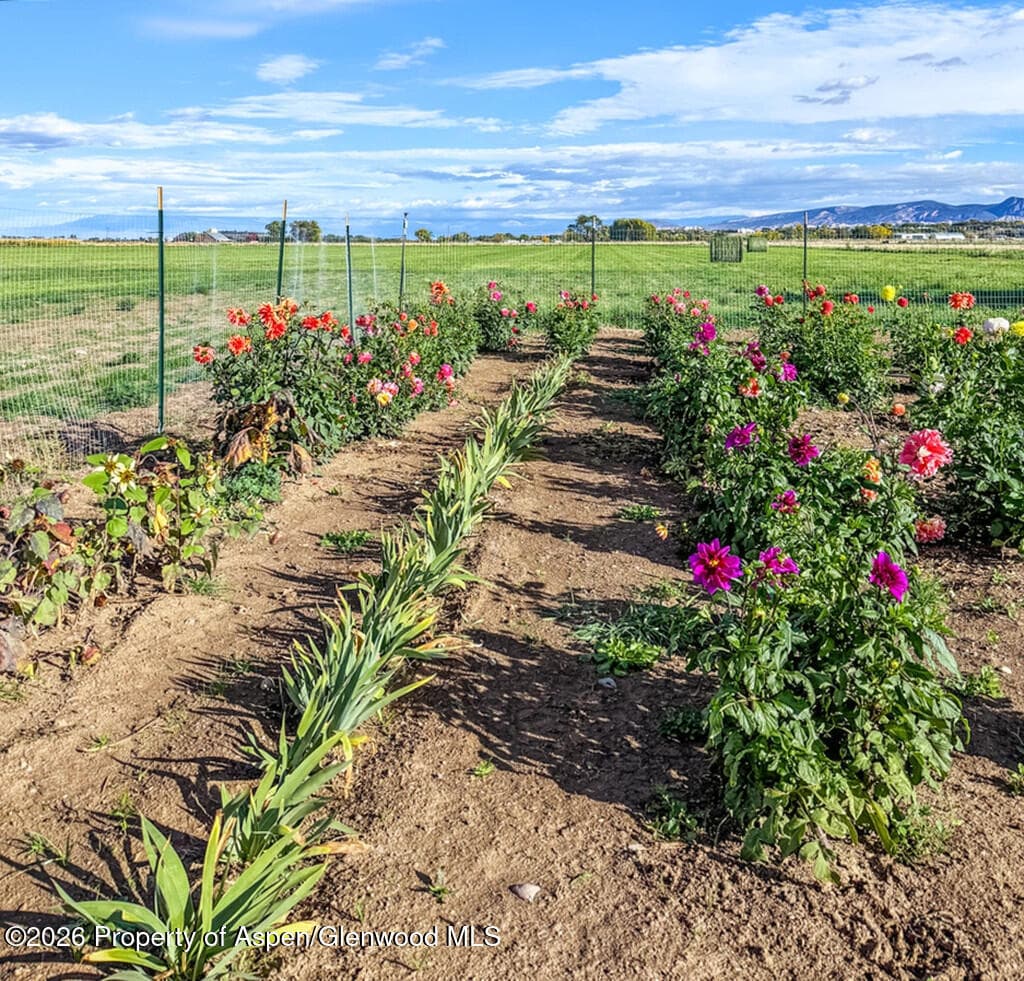 Lot 3 Solar Road, Montrose, CO 81403