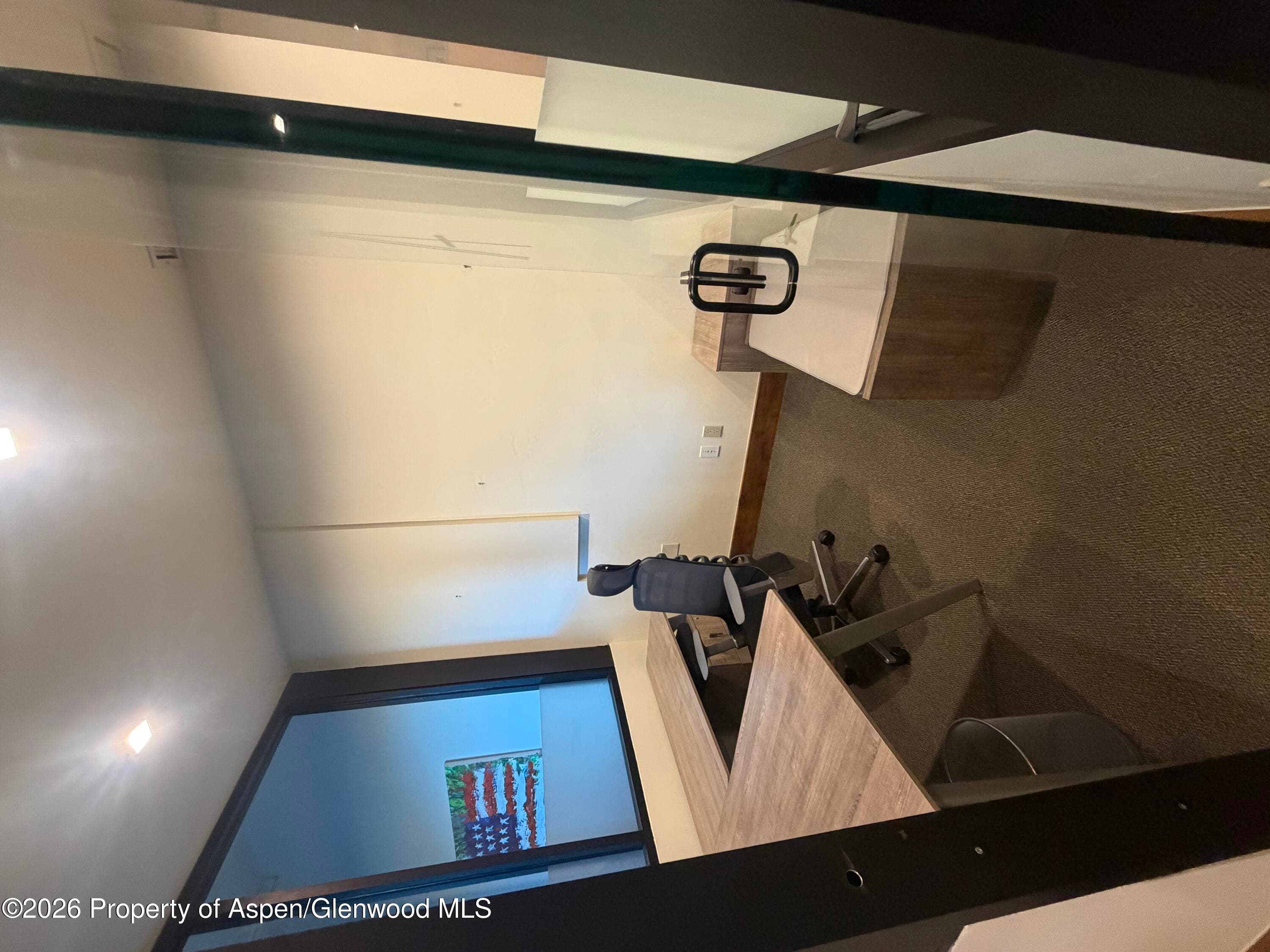 510 E Hyman Avenue 21, Aspen, CO 81611 - Photo 3