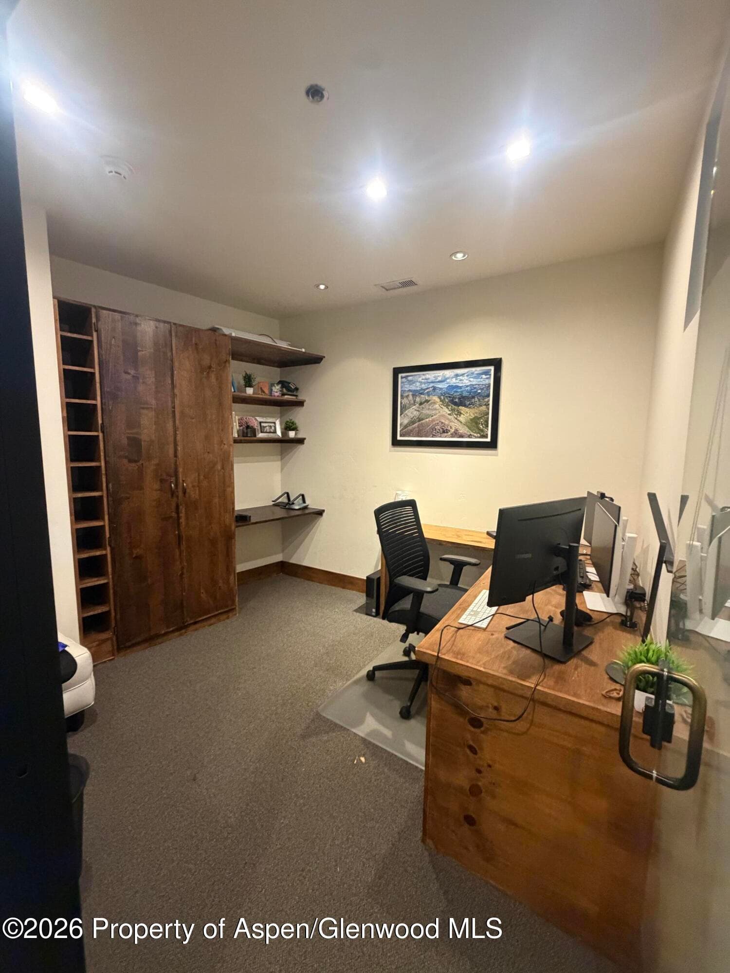 510 E Hyman Avenue 21, Aspen, CO 81611 - Photo 2