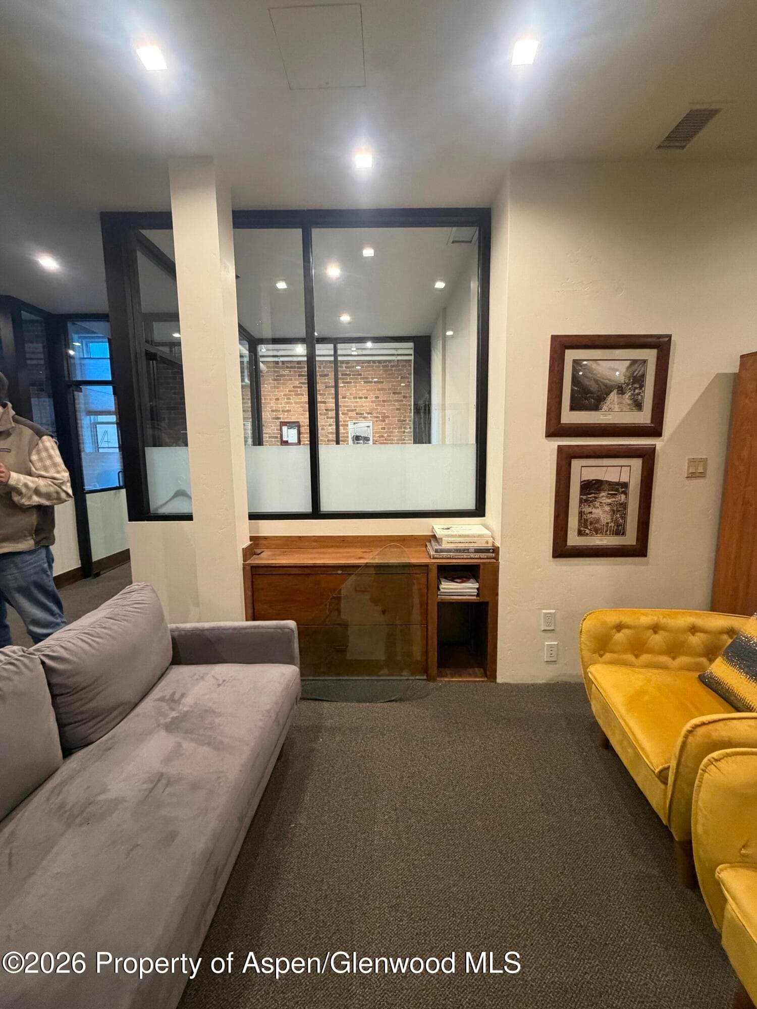 510 E Hyman Avenue 21, Aspen, CO 81611 - Photo 10
