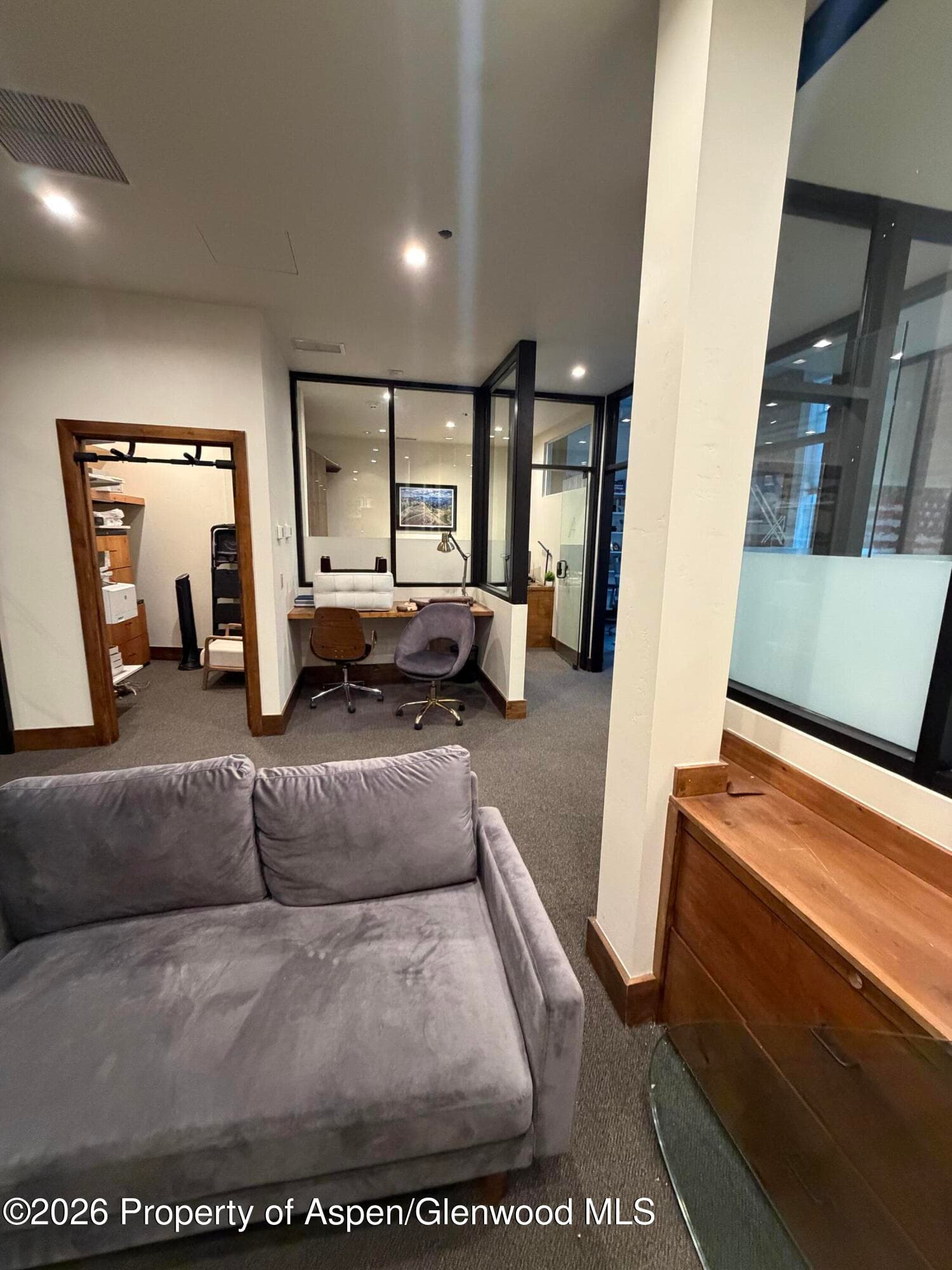 510 E Hyman Avenue 21, Aspen, CO 81611 - Photo 11