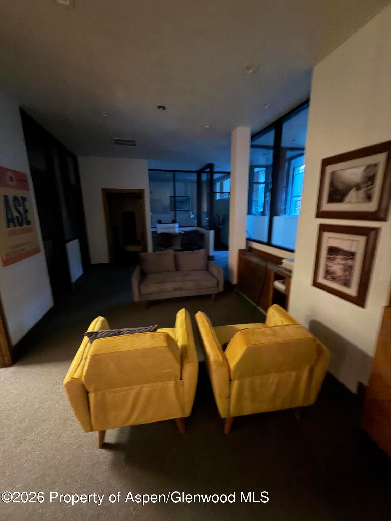 510 E Hyman Avenue 21, Aspen, CO 81611 - Photo 12