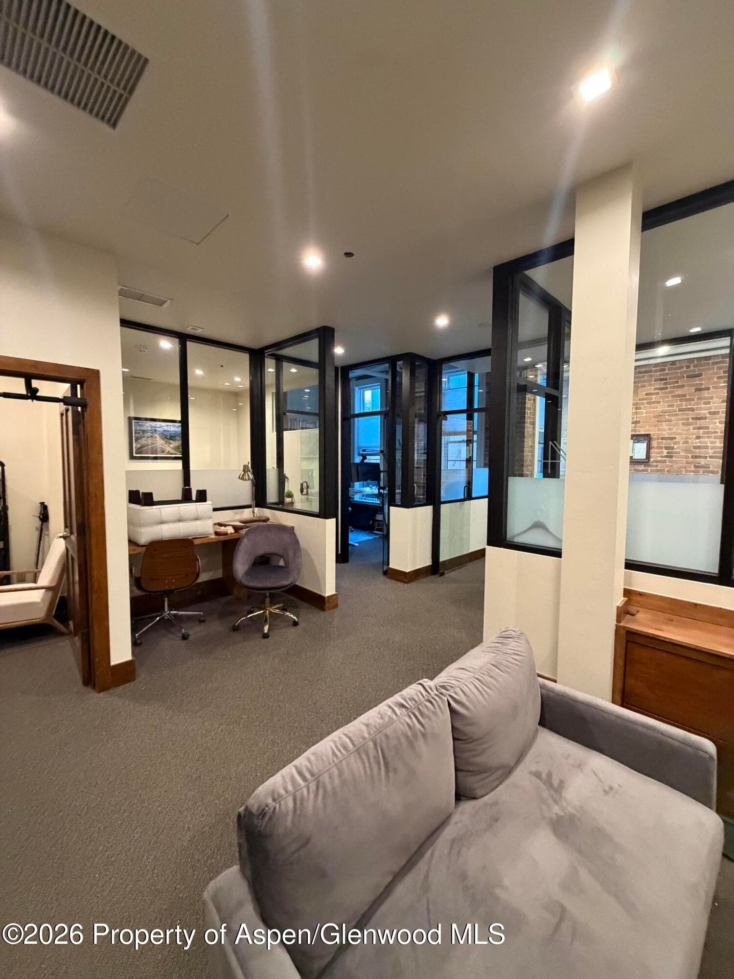 510 E Hyman Avenue 21, Aspen, CO 81611