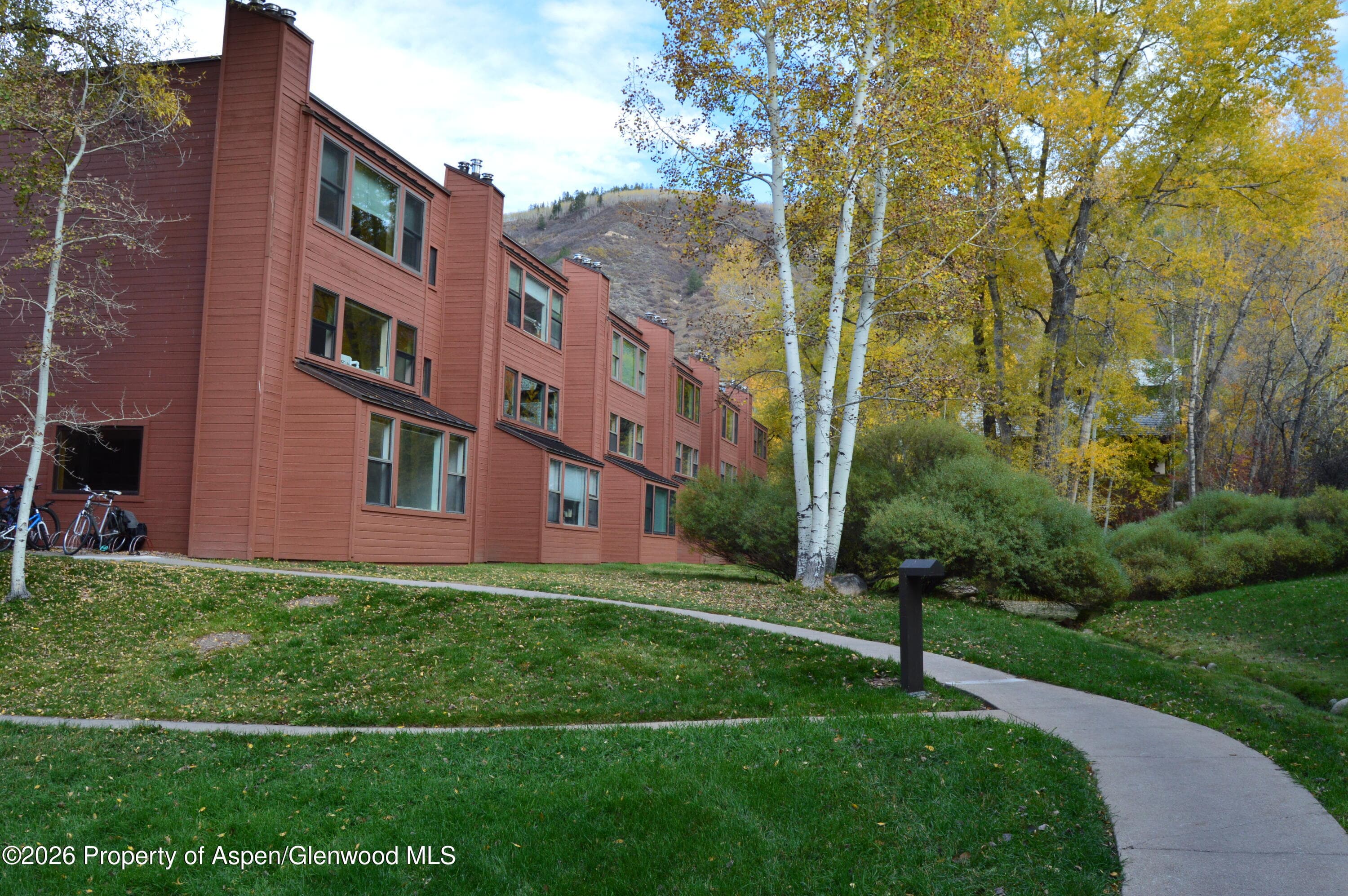 1012 Vine Street, Aspen, CO 81611