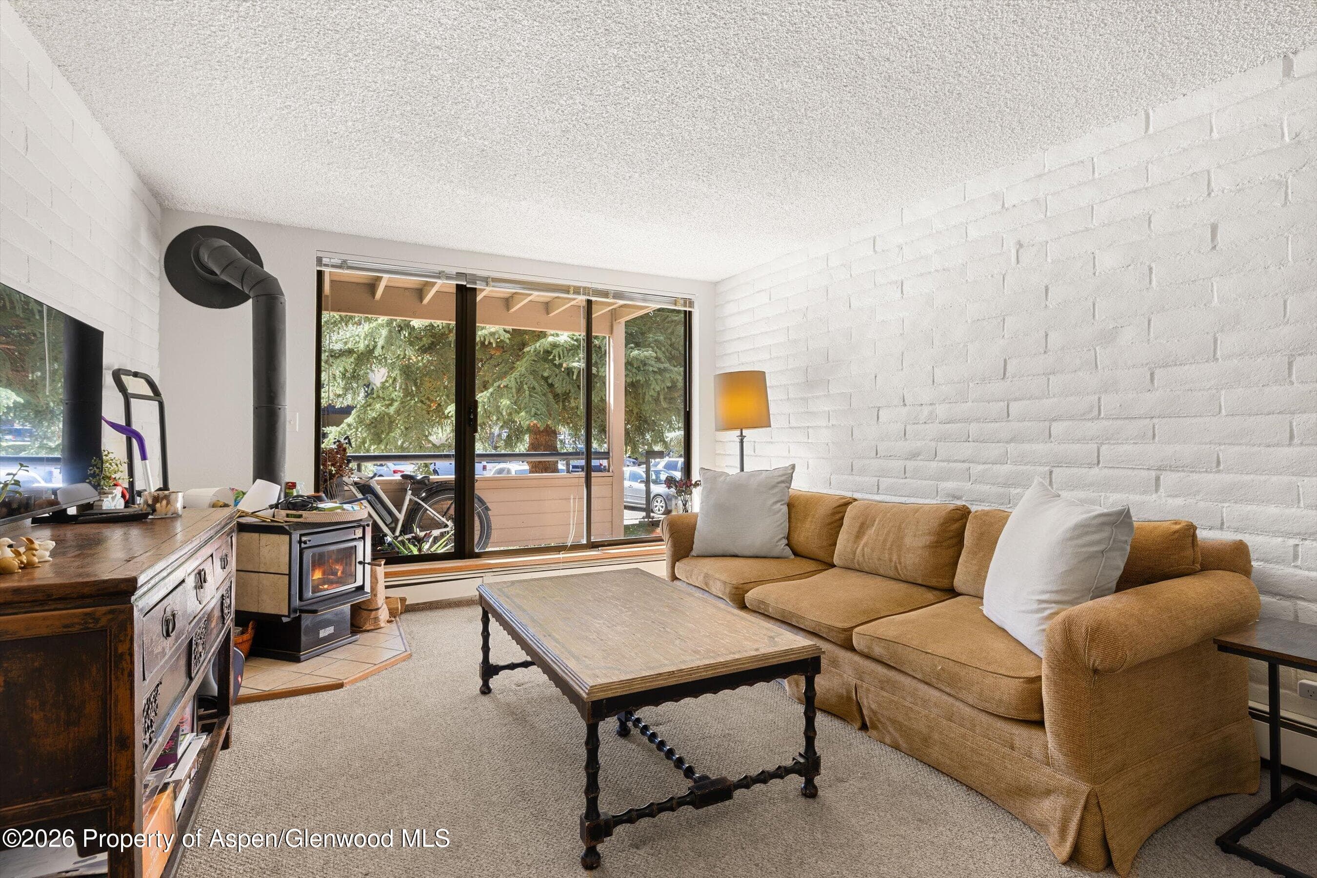 211 Vine Street 201, Aspen, CO 81611