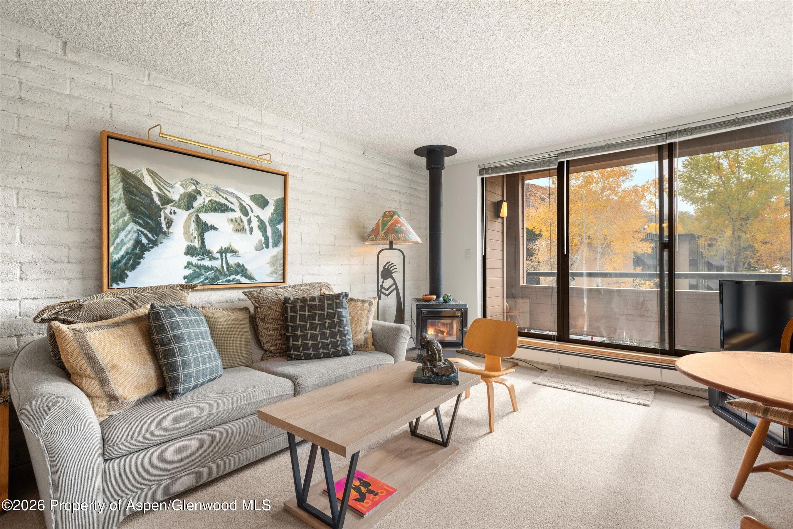 131 Vine Street, Aspen, CO 81611 - Photo 2