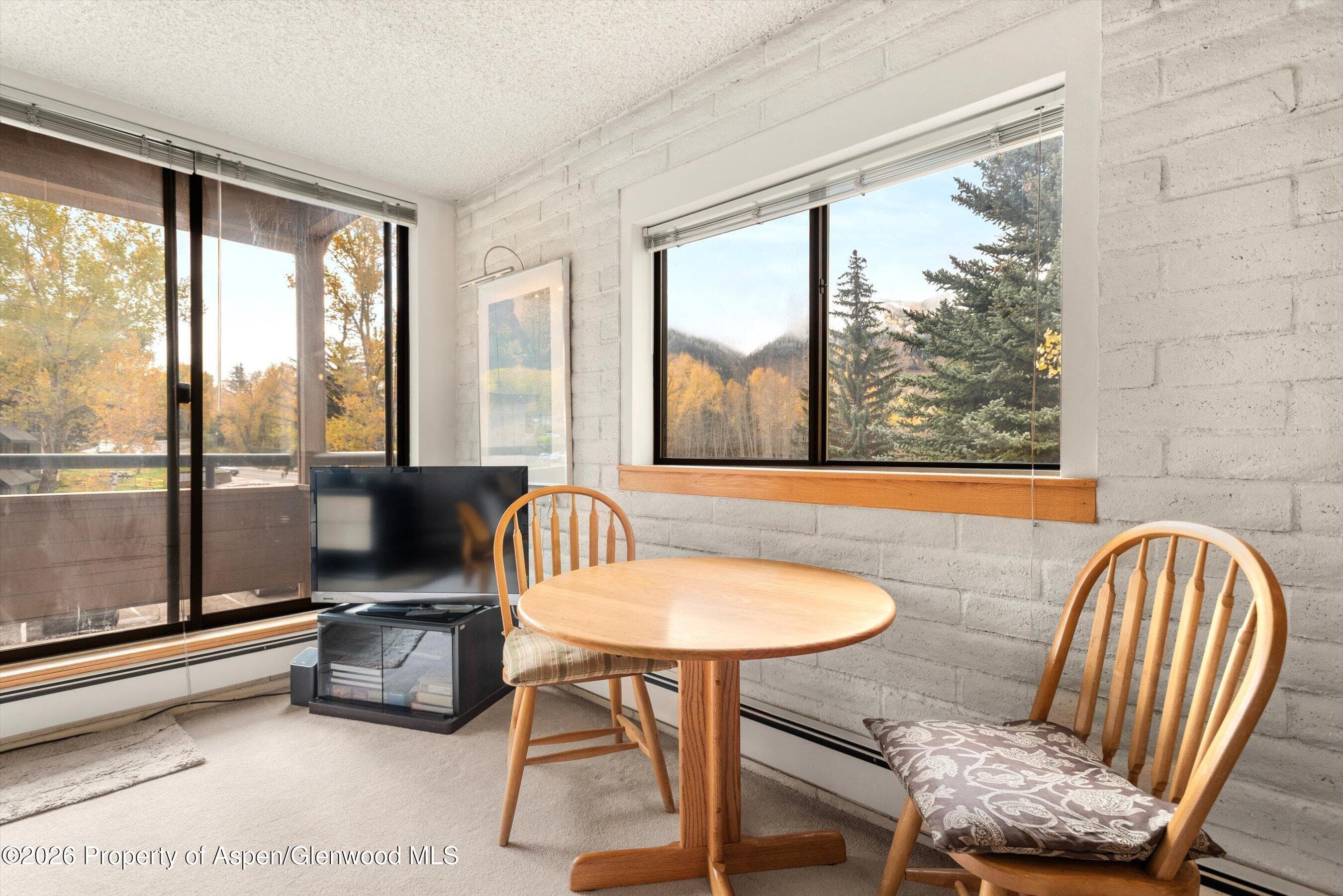 131 Vine Street, Aspen, CO 81611 - Photo 3