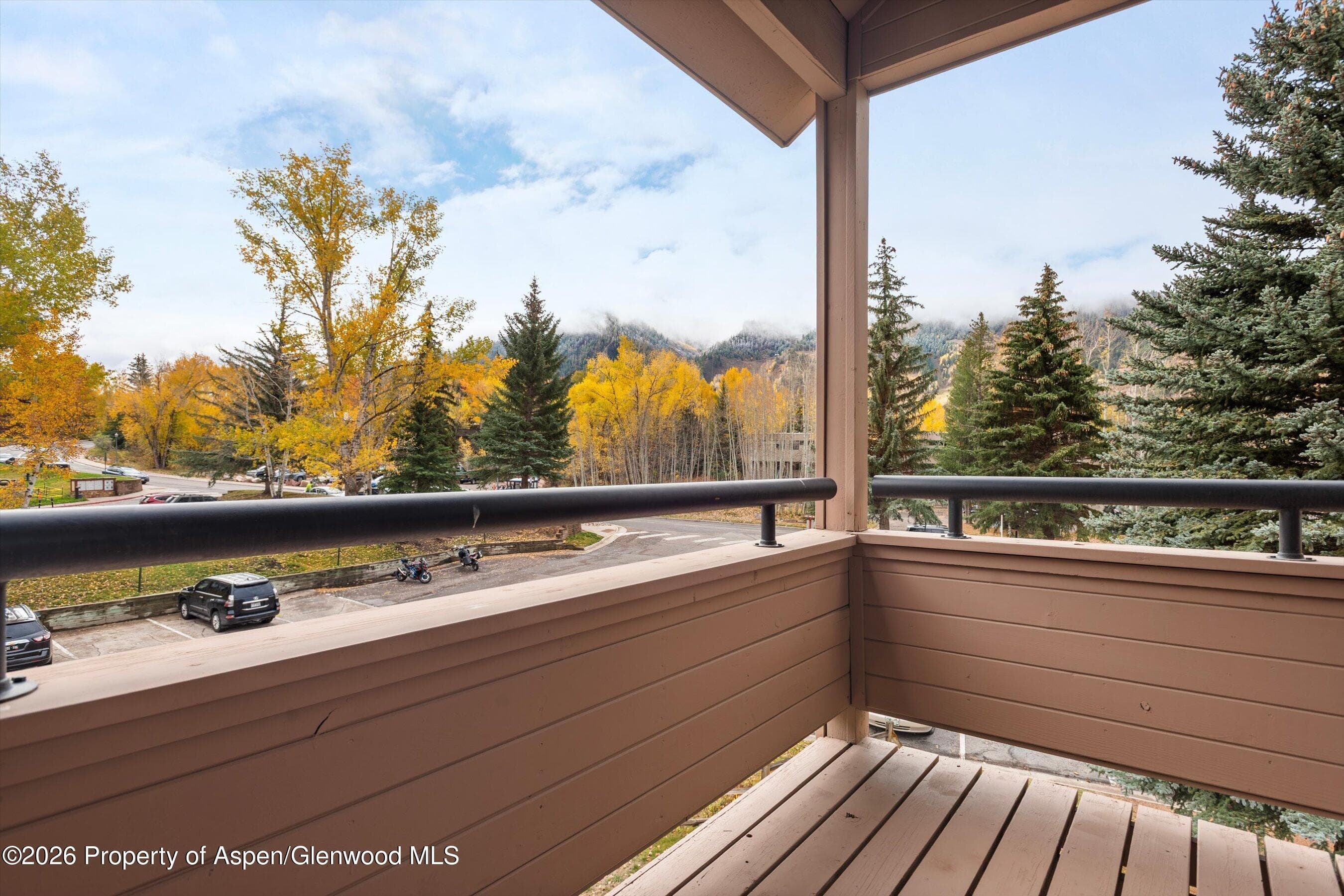 131 Vine Street, Aspen, CO 81611 - Photo 4