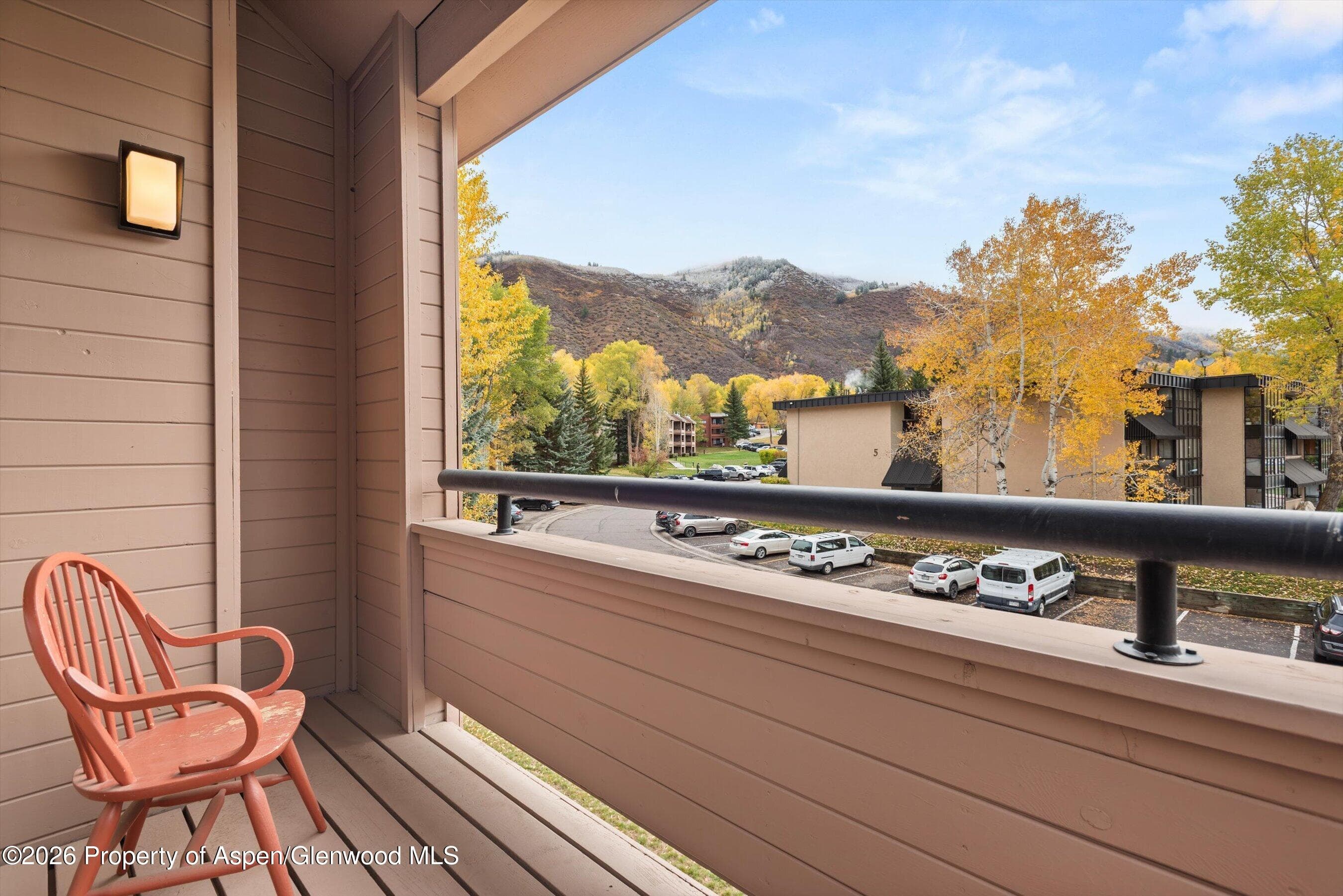 131 Vine Street, Aspen, CO 81611 - Photo 5
