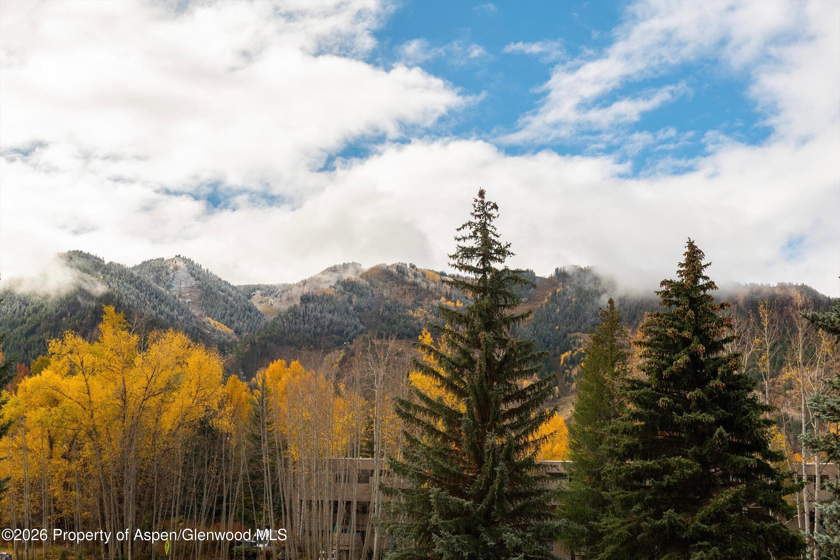 131 Vine Street, Aspen, CO 81611 - Photo 6