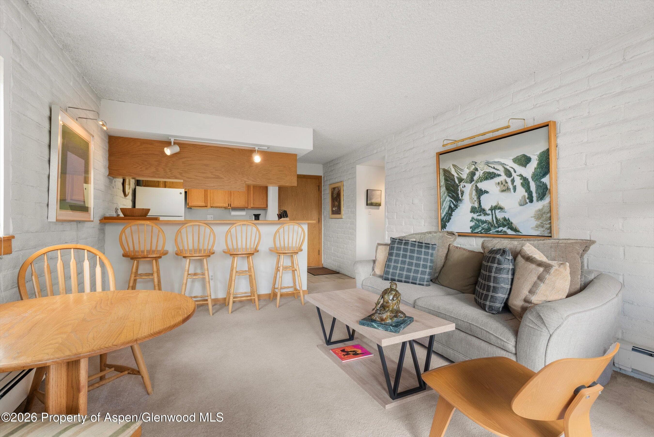 131 Vine Street, Aspen, CO 81611 - Photo 7